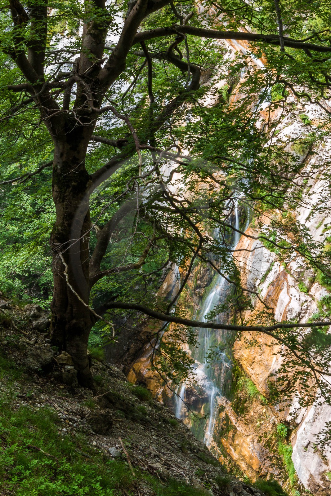 ENS de l'Isère, Les Ecouges