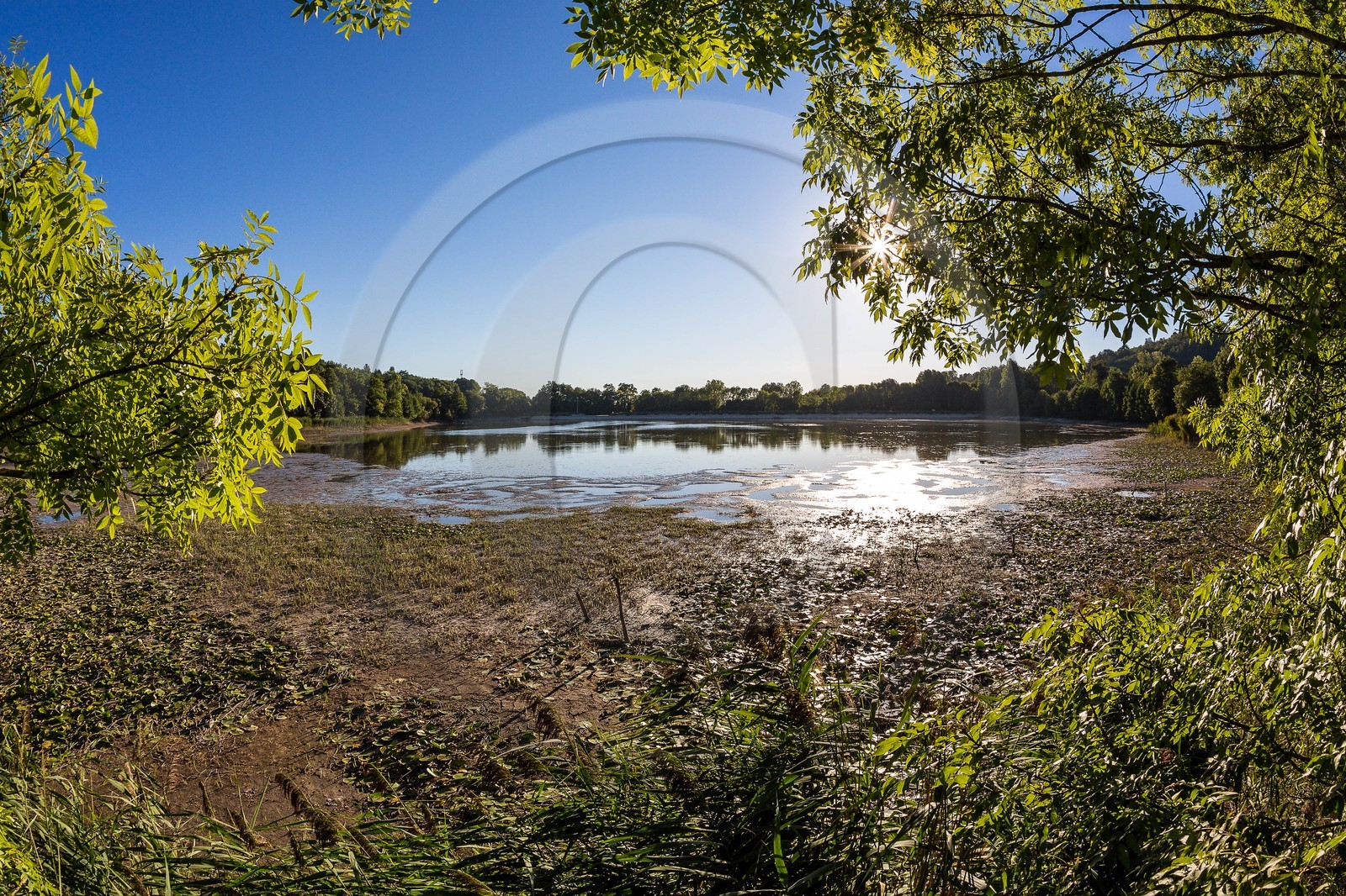 ENS de l'Isère, étang de Montjoux