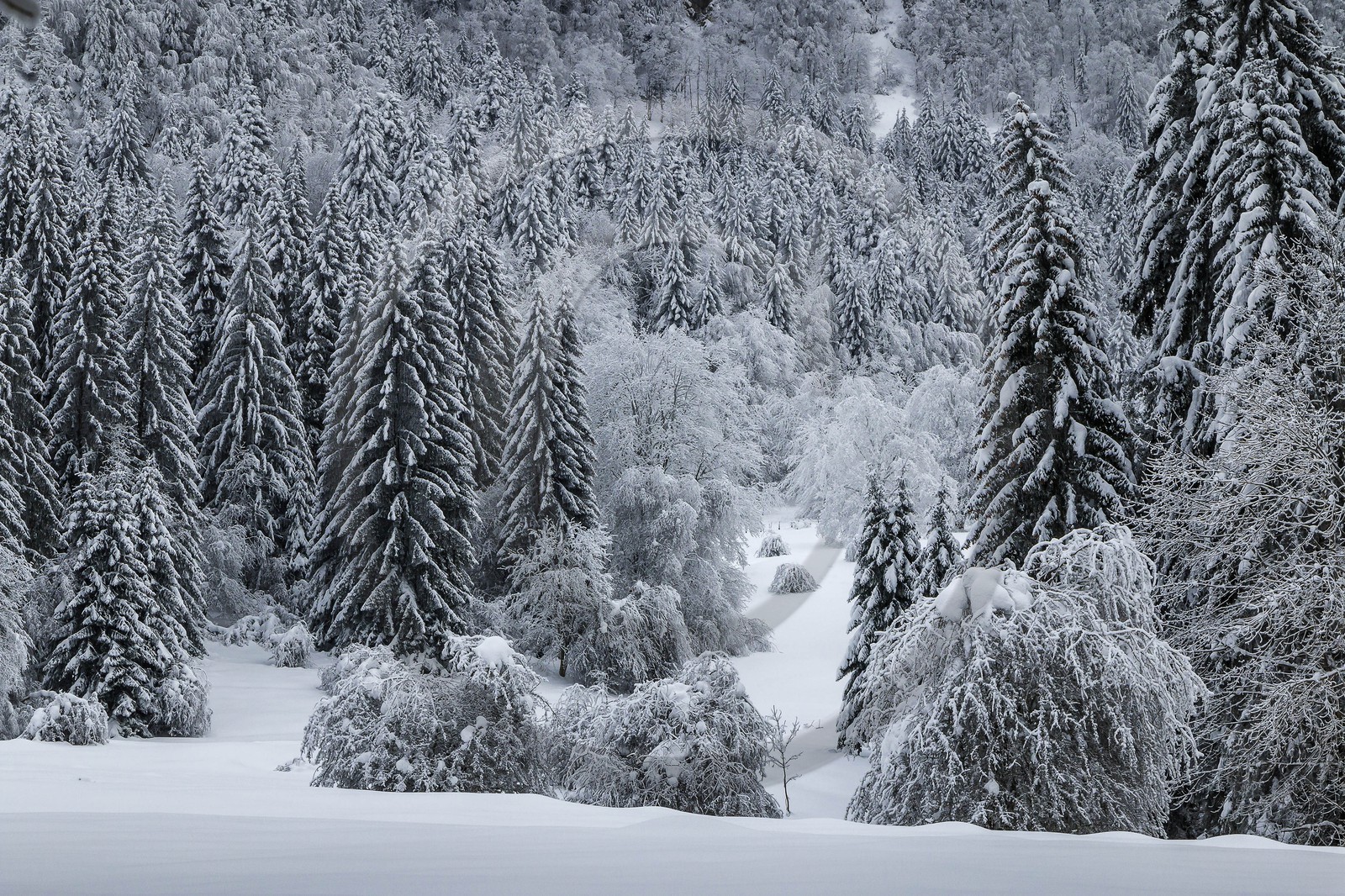 ENS de l'Isère, Les Ecouges