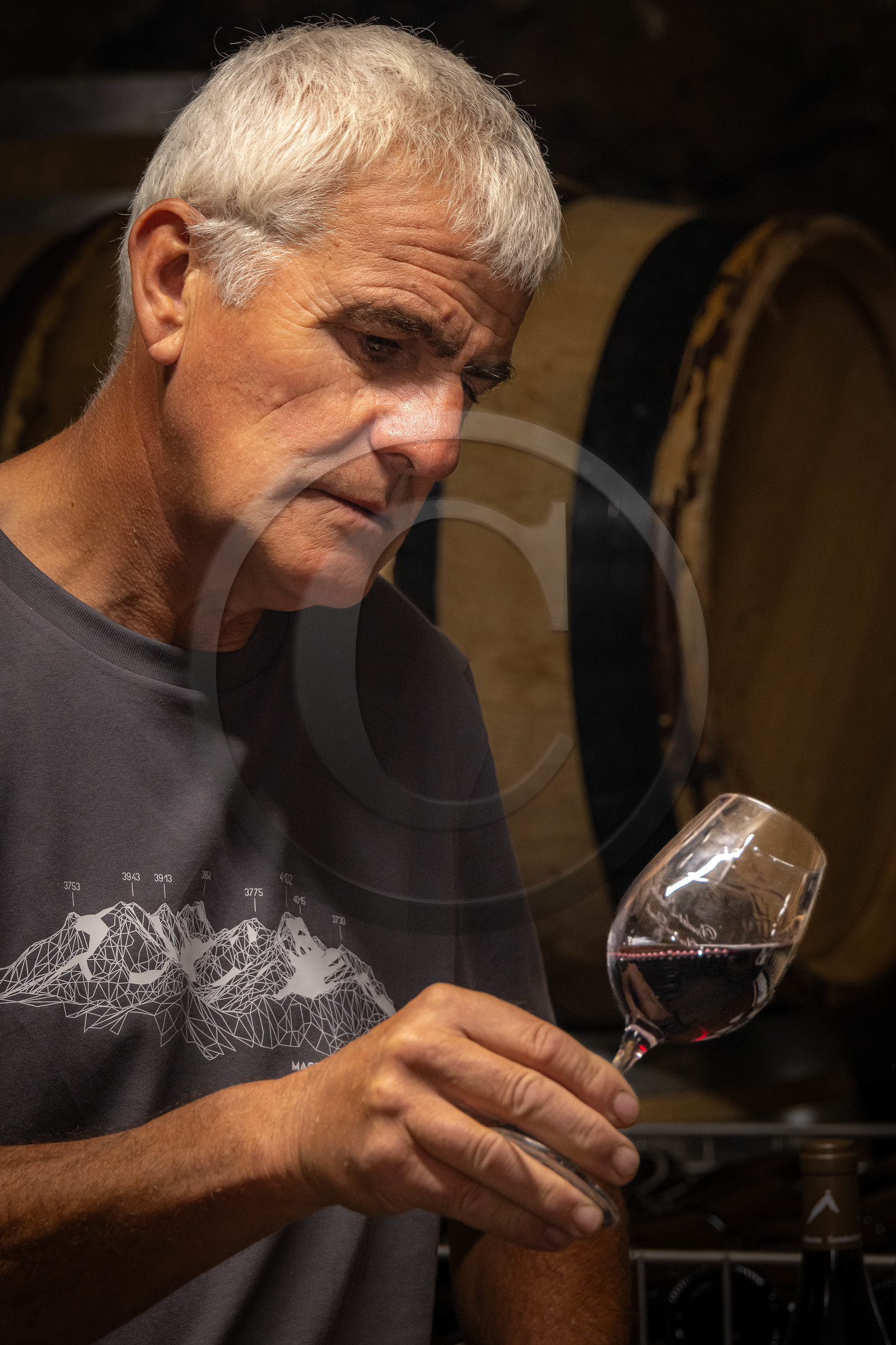 Domaine du Mont Guillaume, Emmanuel Berteloot vigneron