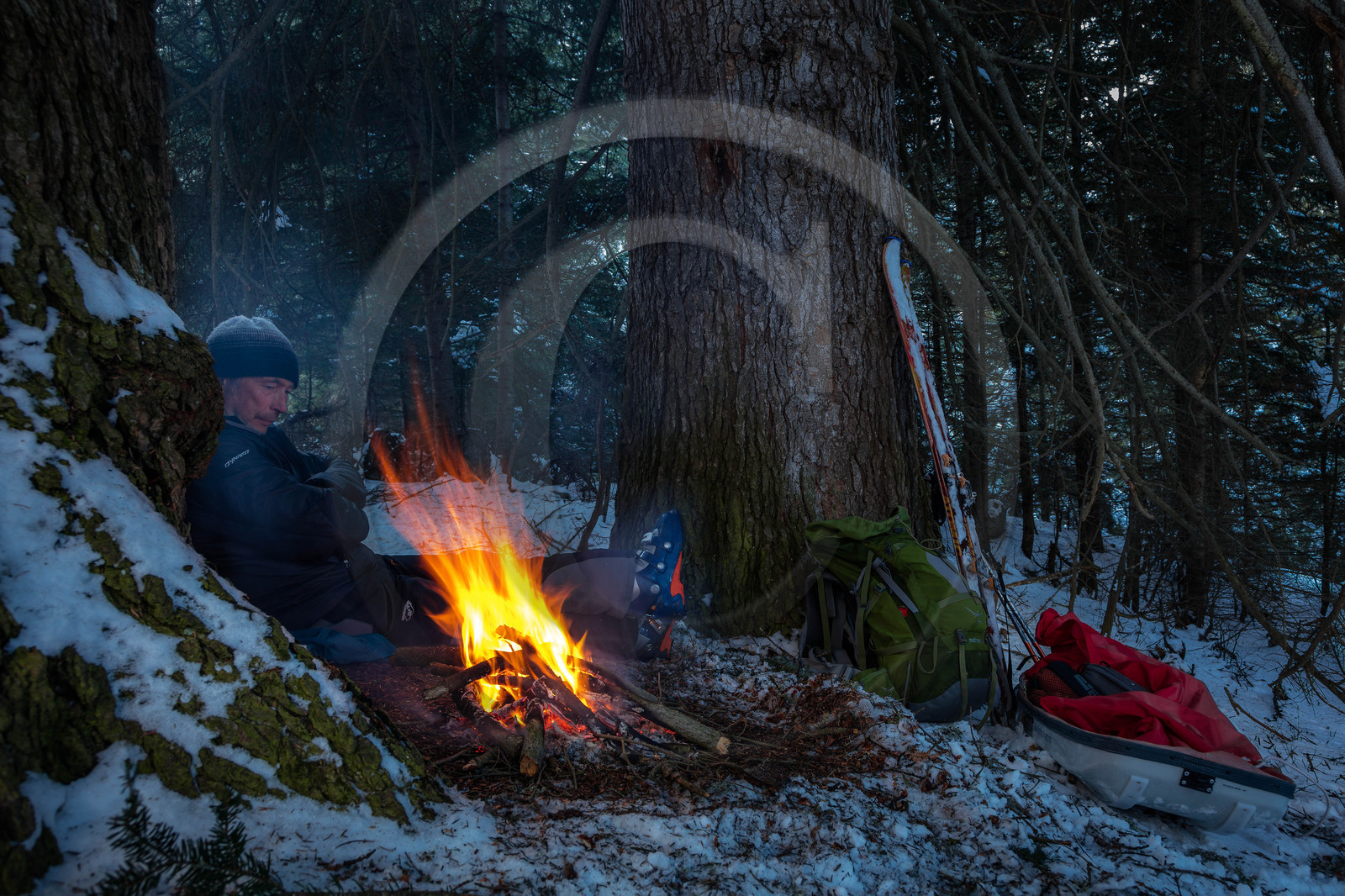 Film : La vallée des loups