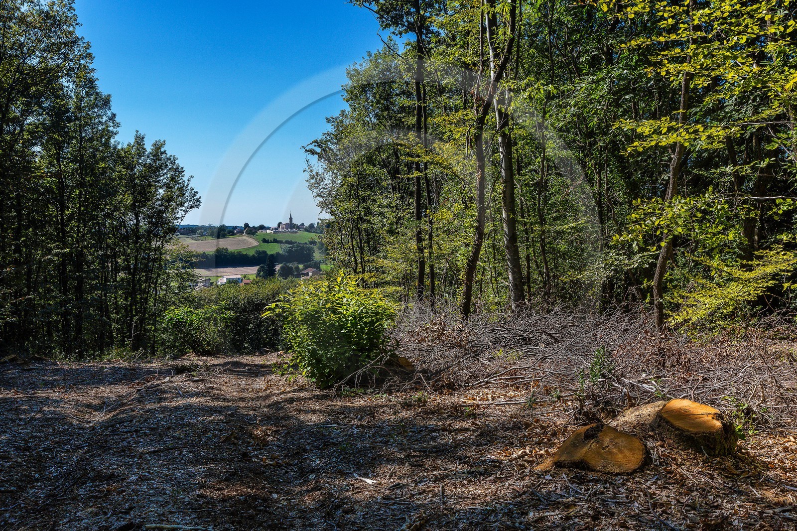 ENS de l'Isère, Etang des Béroudières