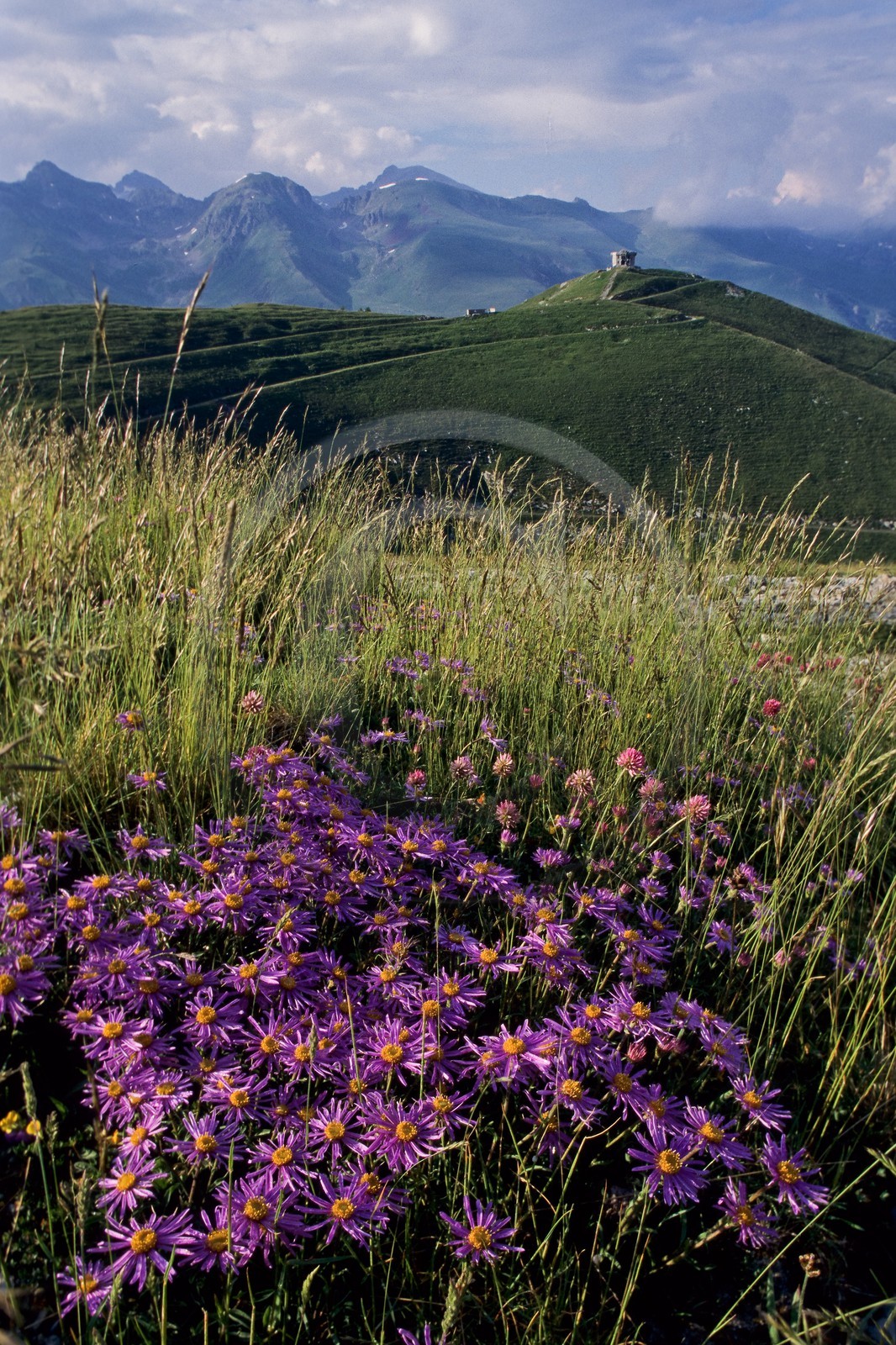Massif de l'Authion, Redoute des Trois Communes