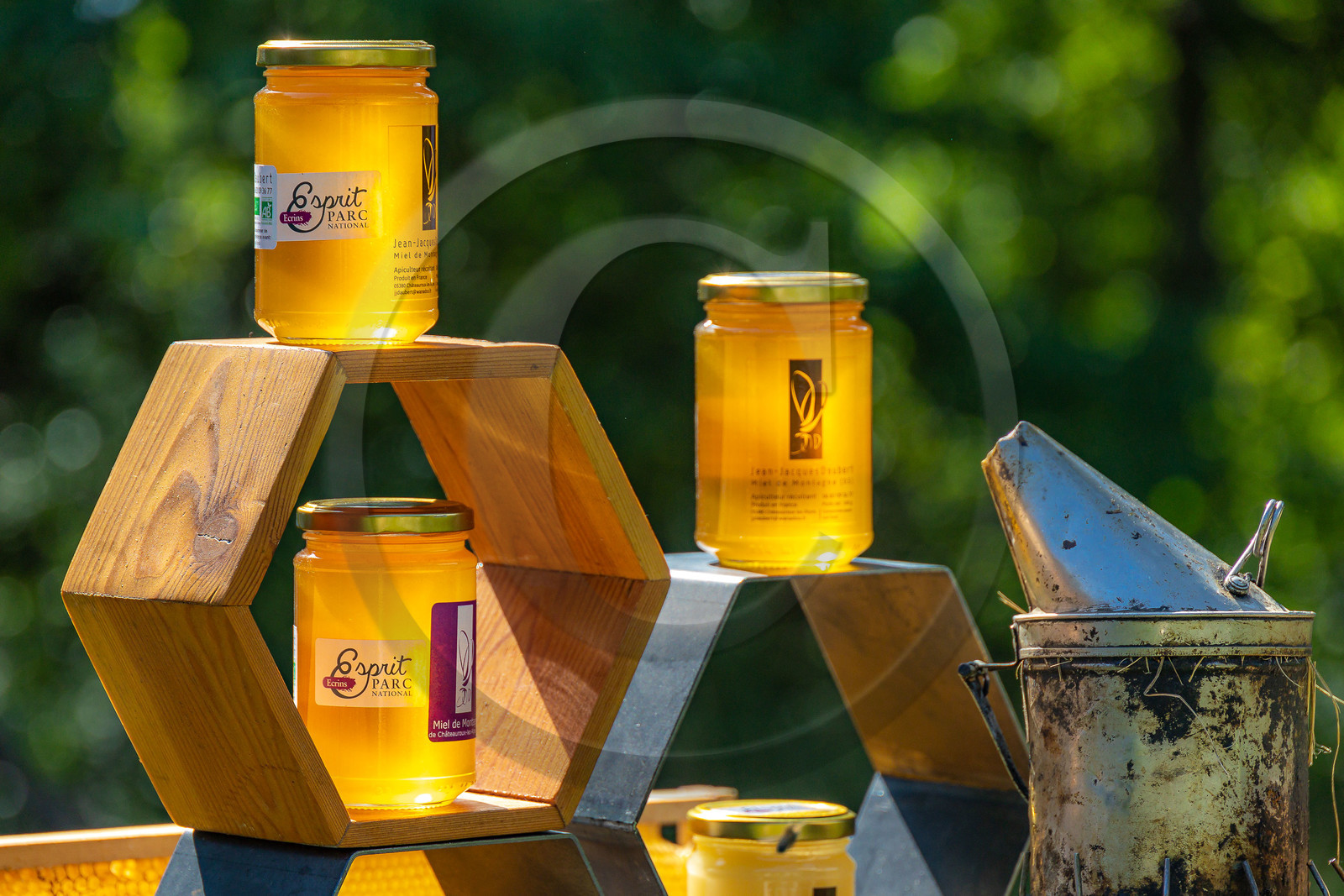 Jean-Jacques Daubert - Apiculteur