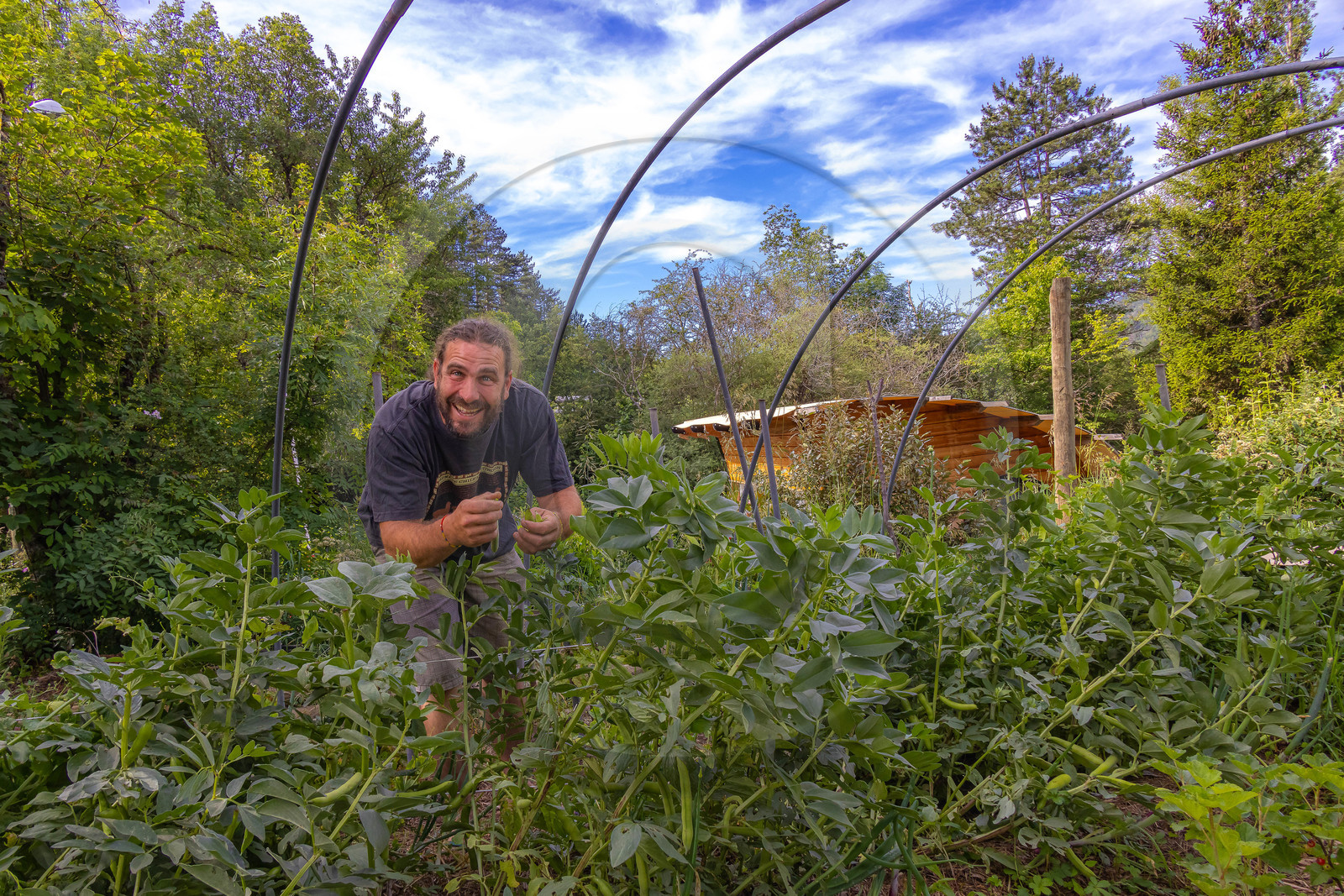 Camping municipal Le Mousserein