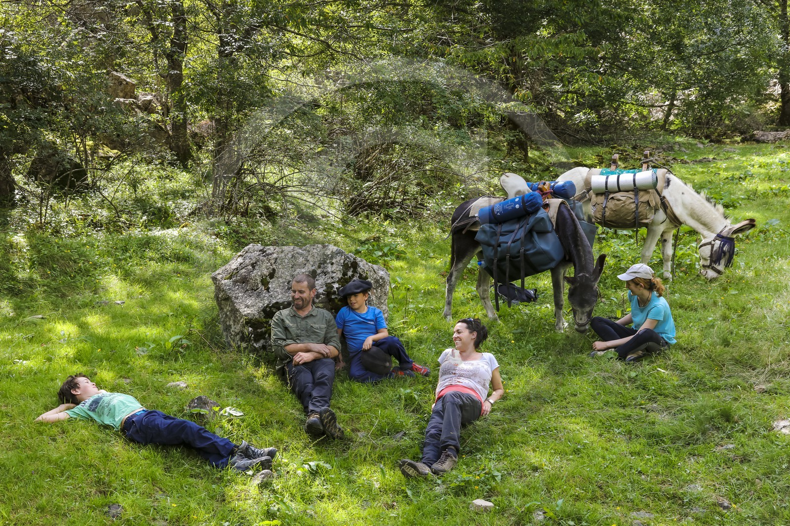 Yohann Masnada, accompagnateur ânier