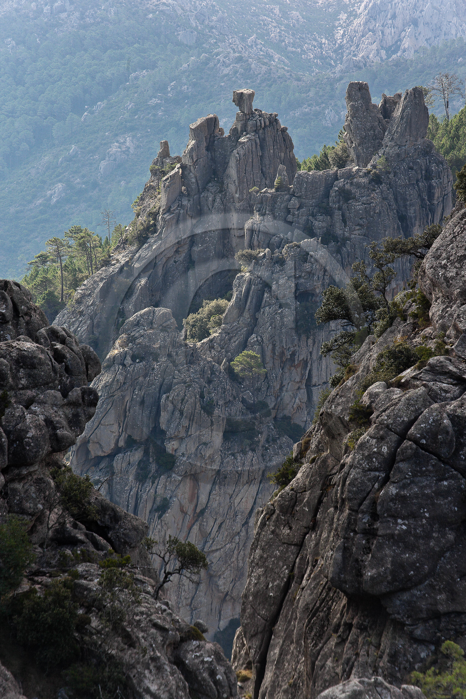 Les Aiguilles de Bavella (forchi di Bavedda )