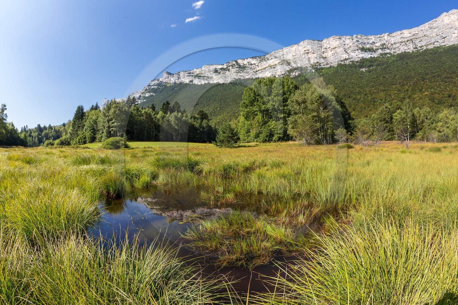 ENS de l'Isère,Tourbières du Peuil