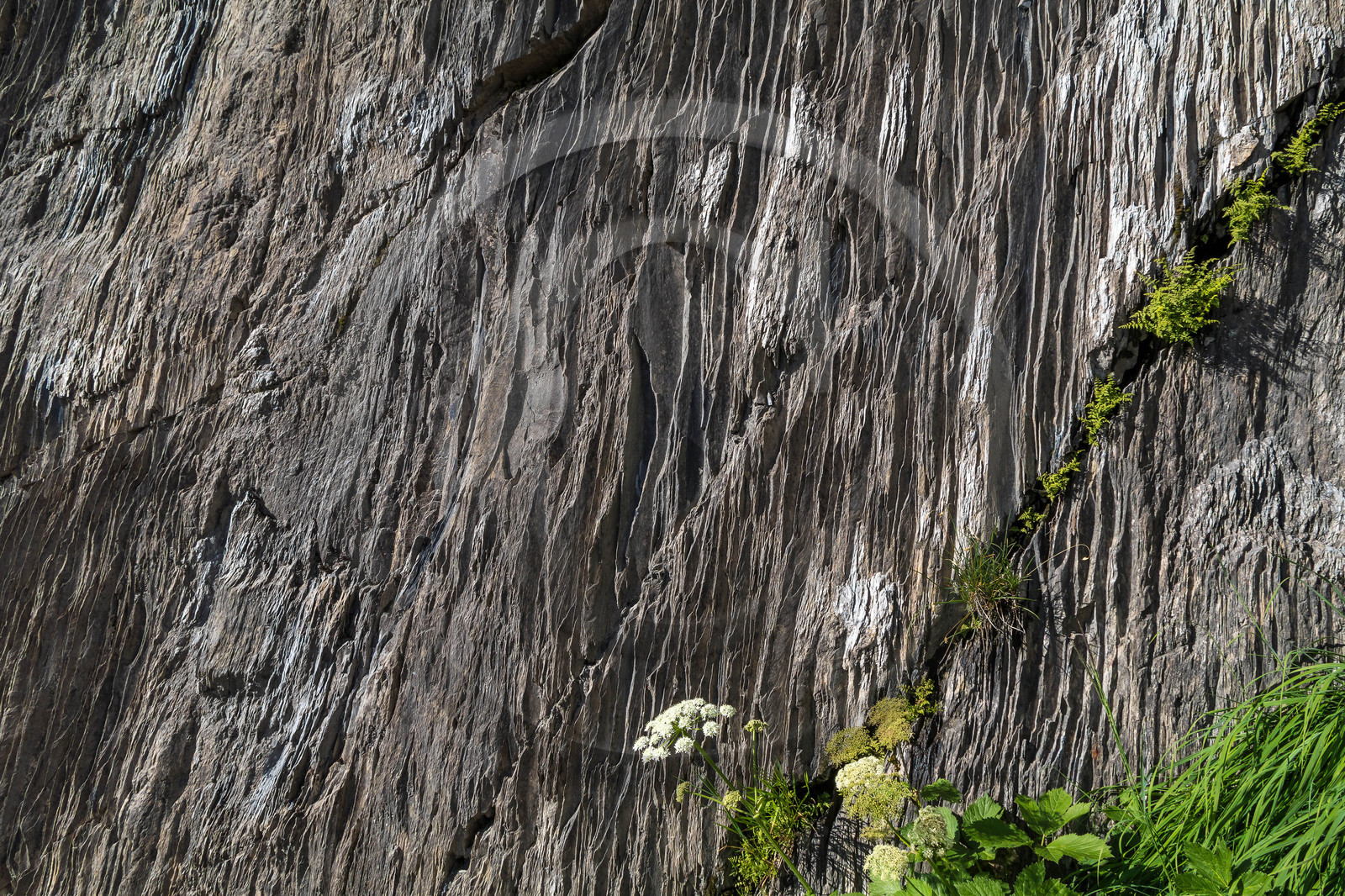 Lauzières du Col de la Madeleine