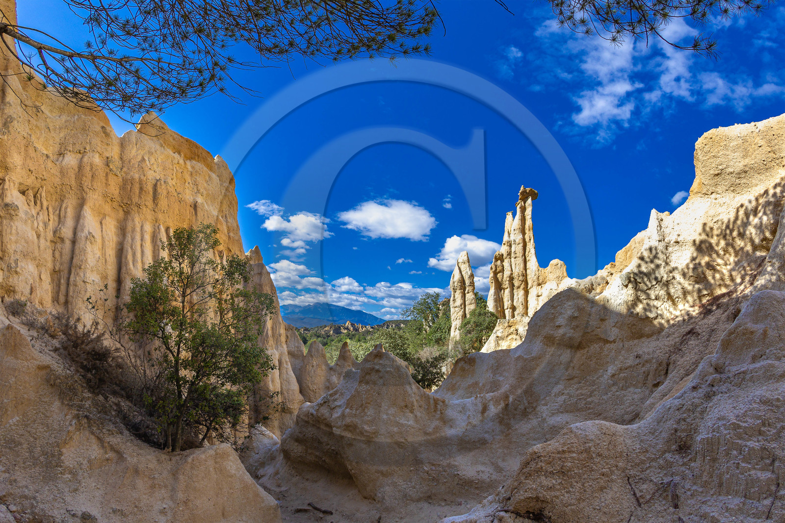 Orgues d'Ille-sur-Têt