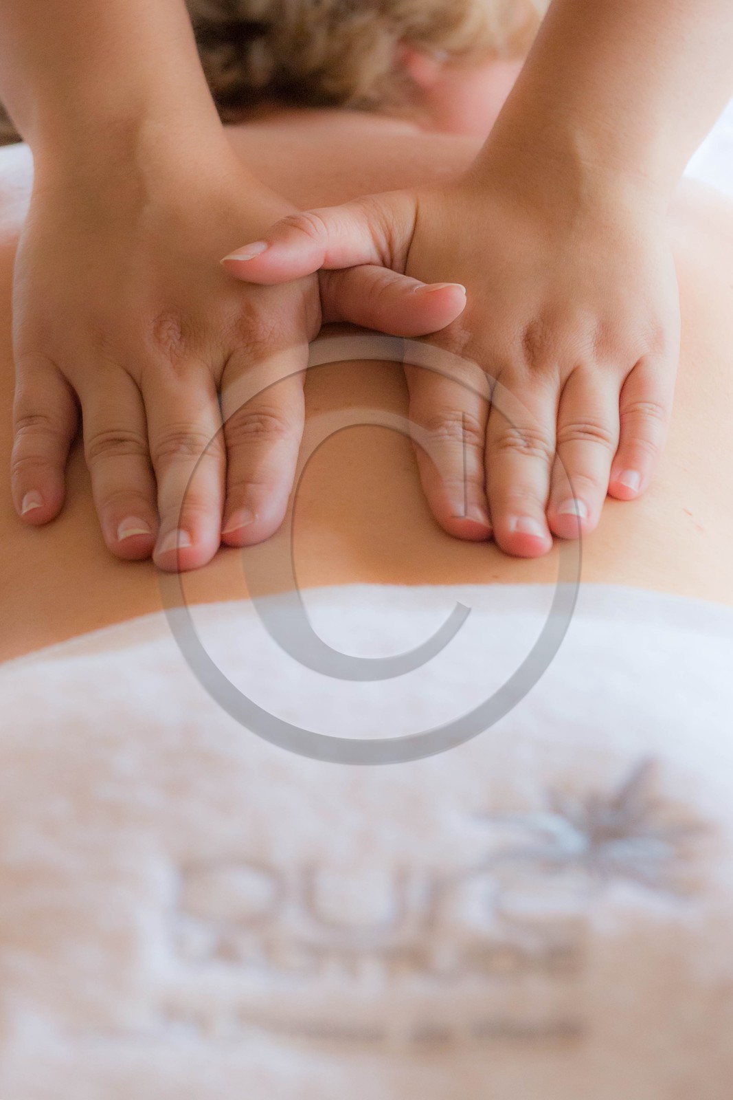 Hôtel restaurant spa Les Bartavelles