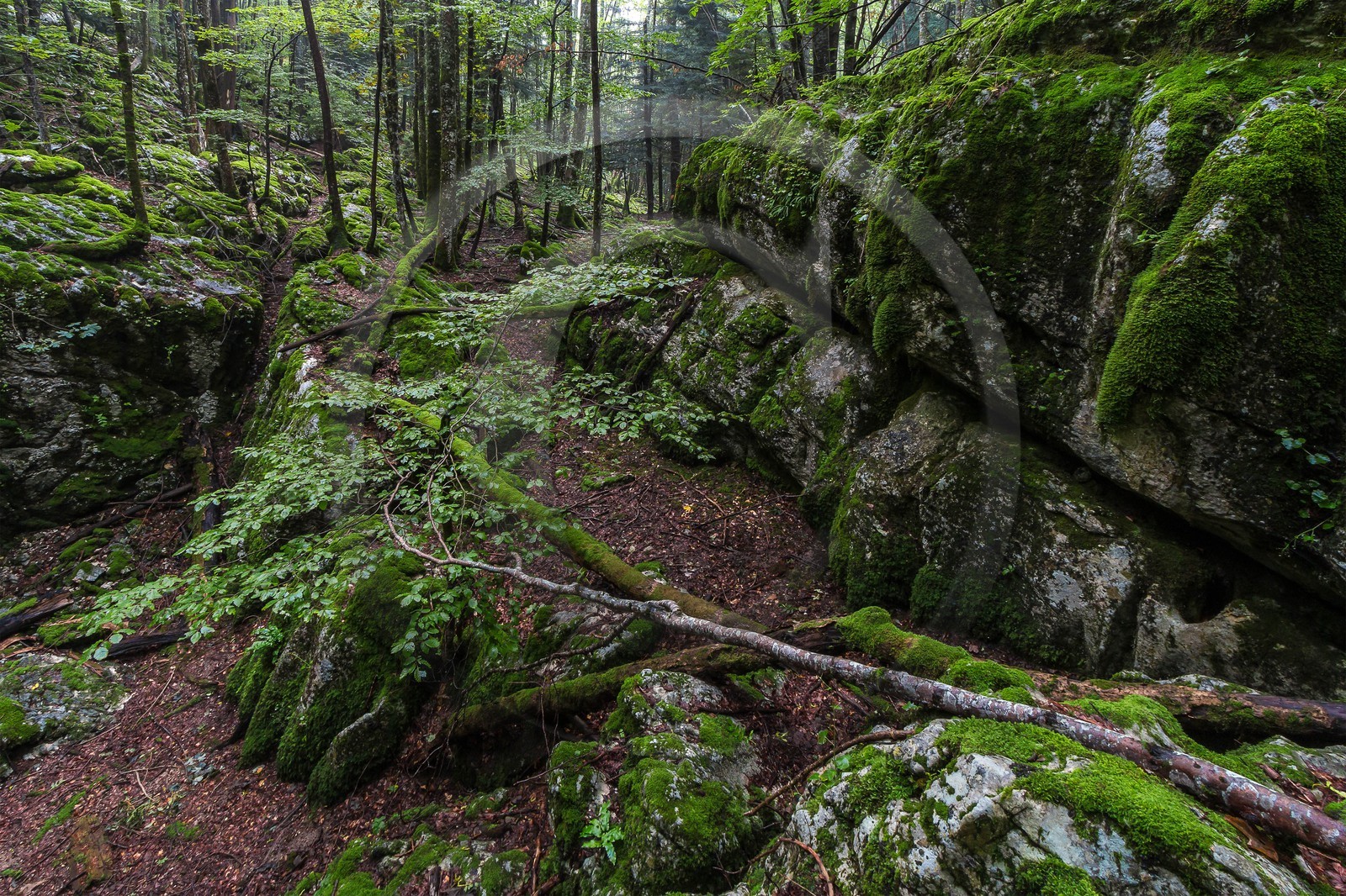 ENS de l'Isère, Les Ecouges