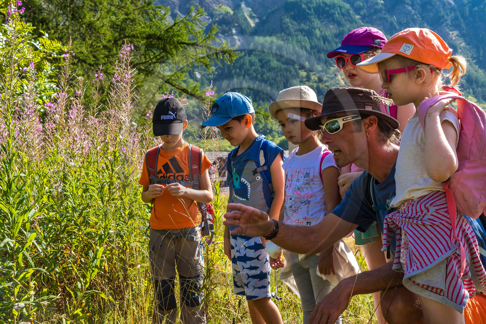Curieux de nature, sortie découverte avec Cyril Mahout