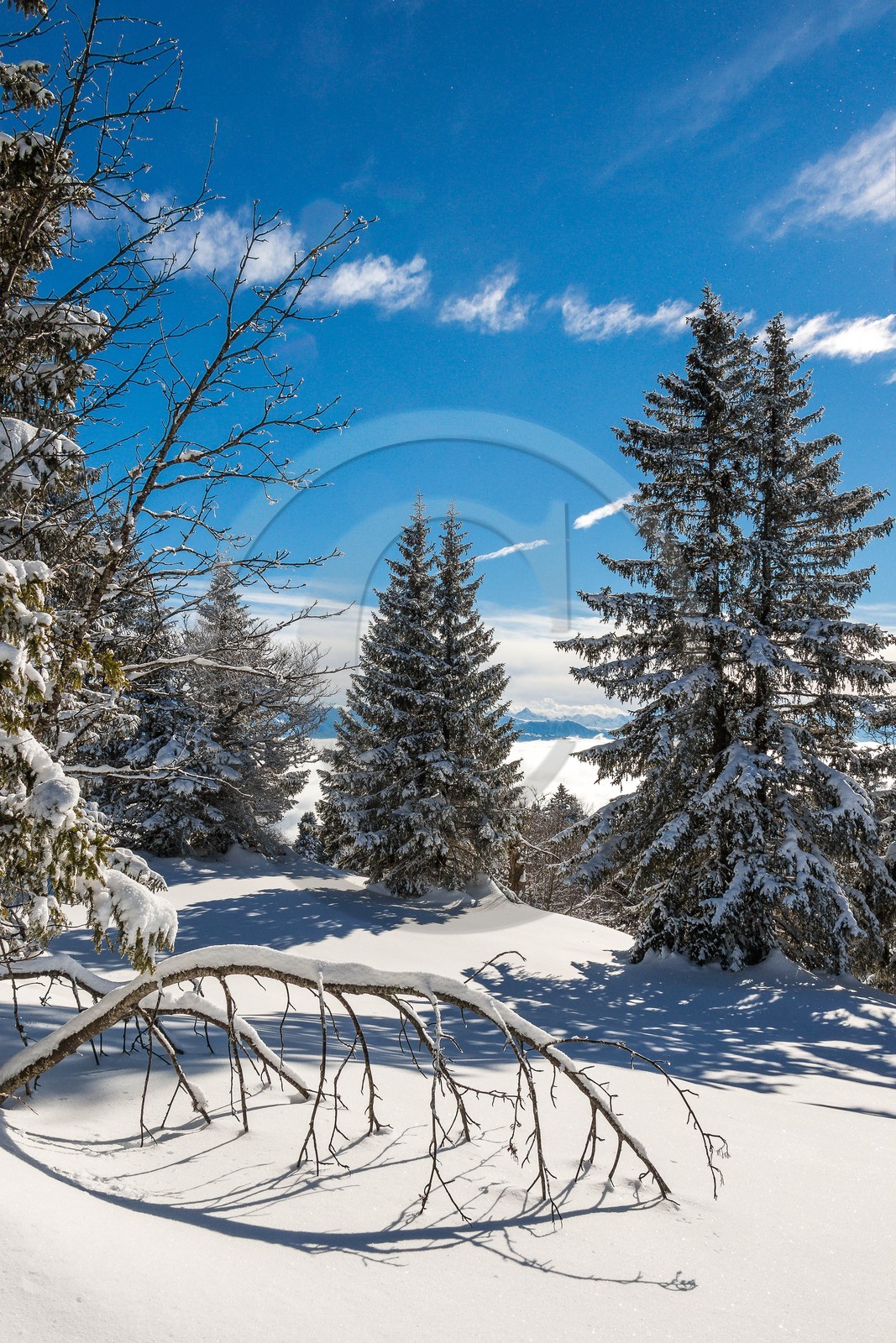ENS de l'Isère, Plateau de la Molière et du Sornin