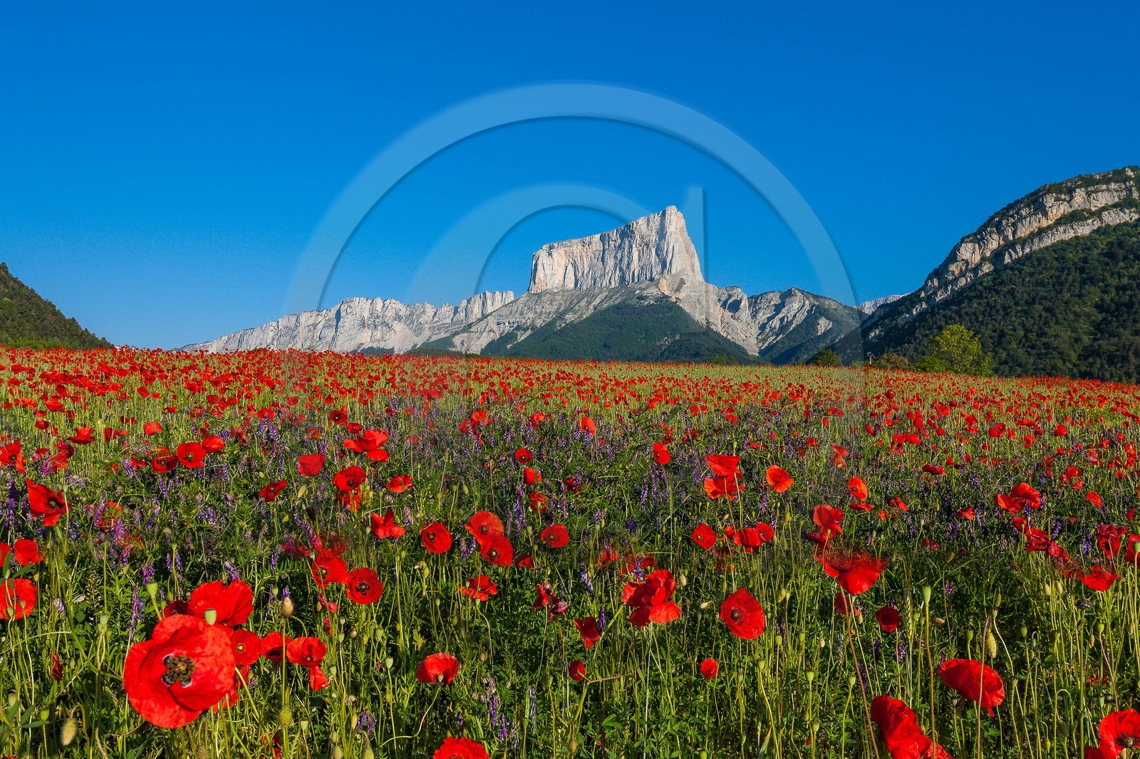 Trièves, le Mont-Aiguille