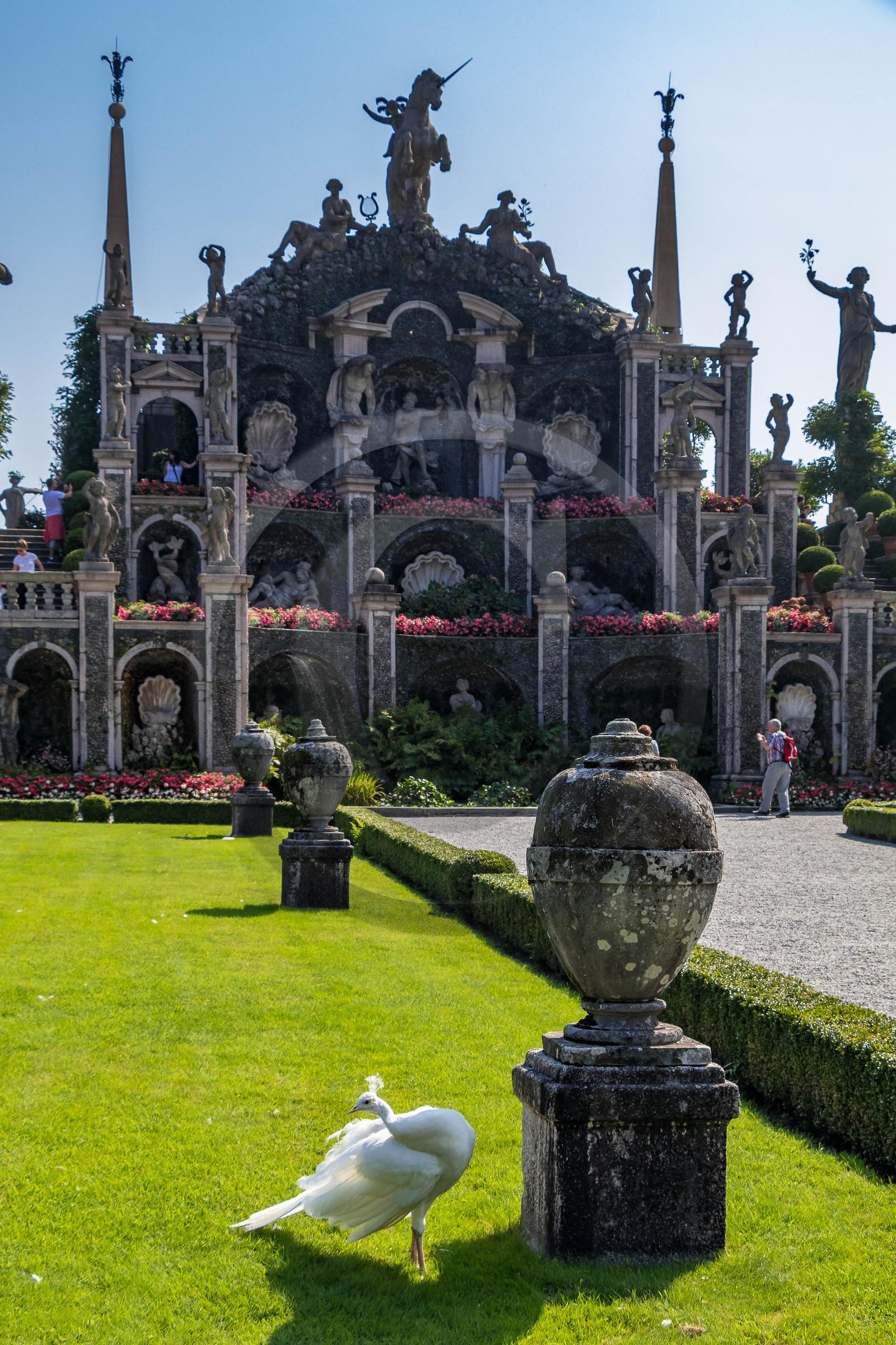Lac Majeur, Isola Bella, paon blanc