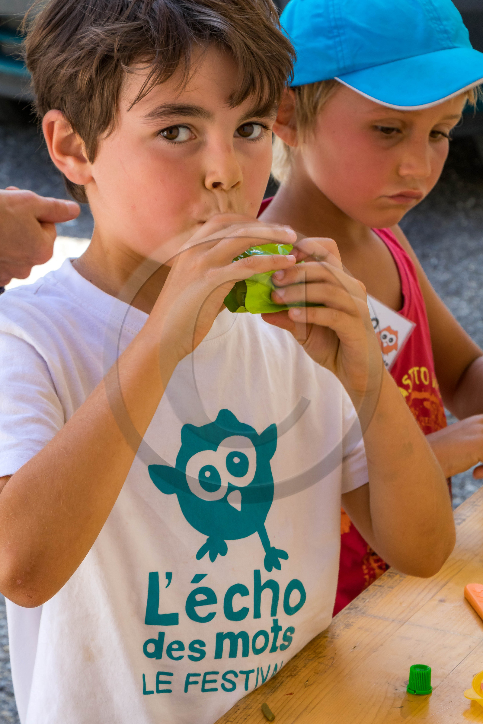 Festival L'Echo des mots