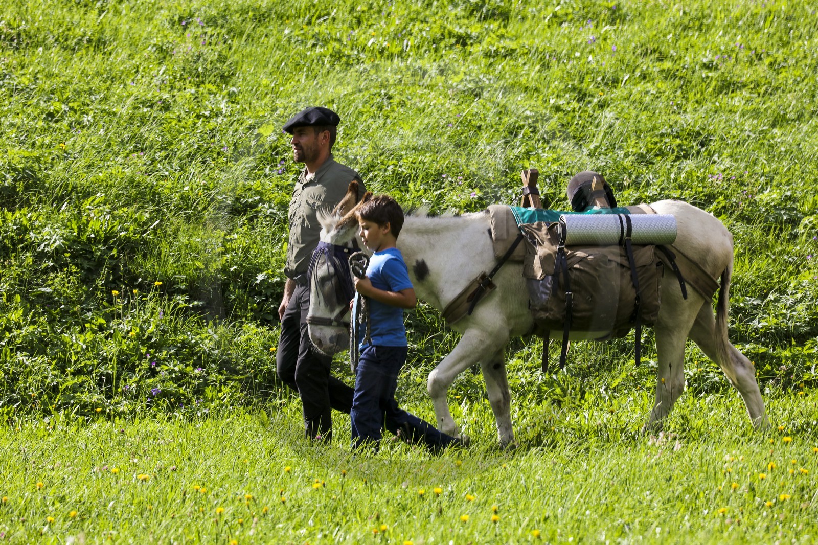 Yohann Masnada, accompagnateur ânier