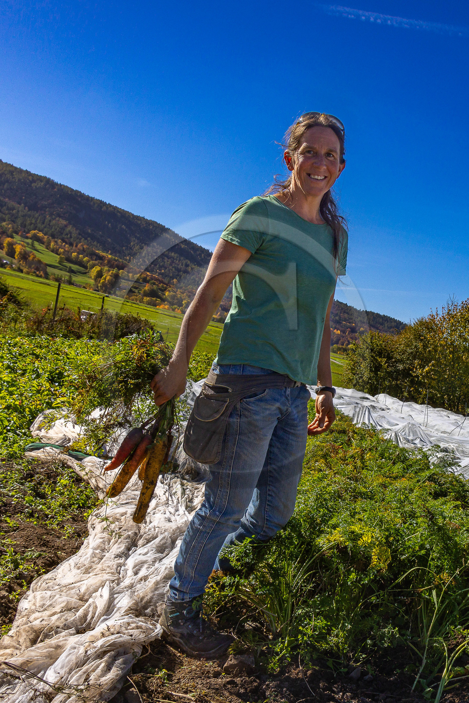 LéguMontagne Sylvie Jaussaud , Maraîchères bio