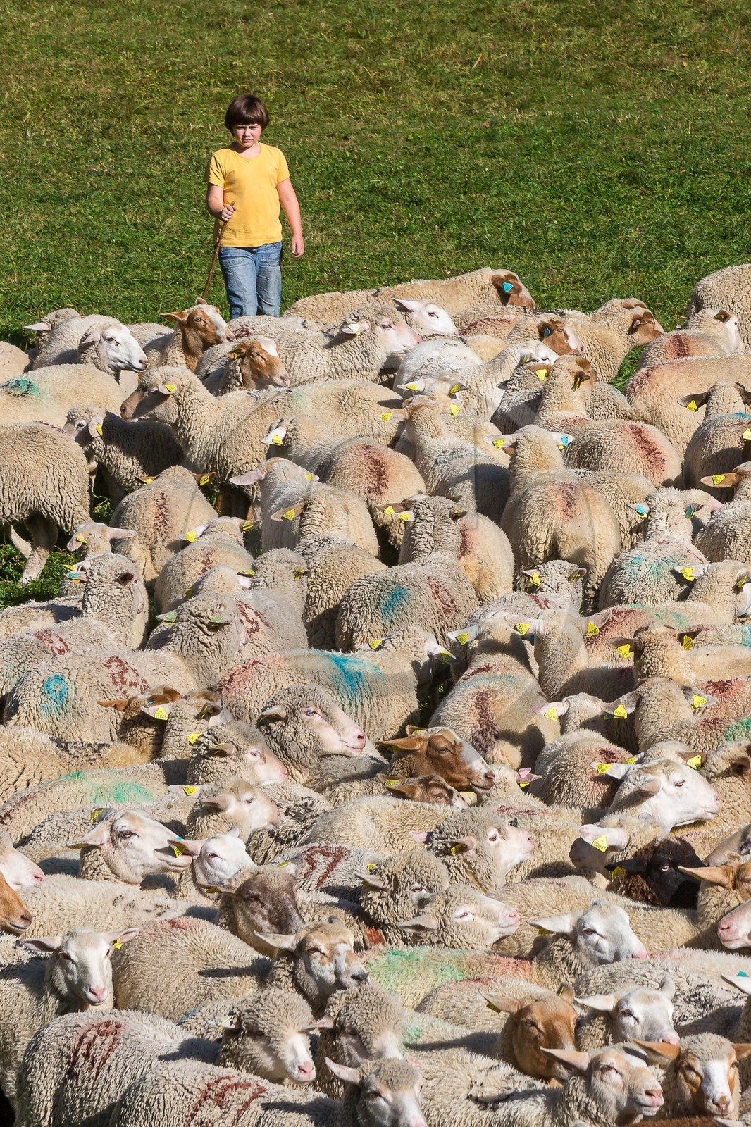 Le Désert, désenmontagnage