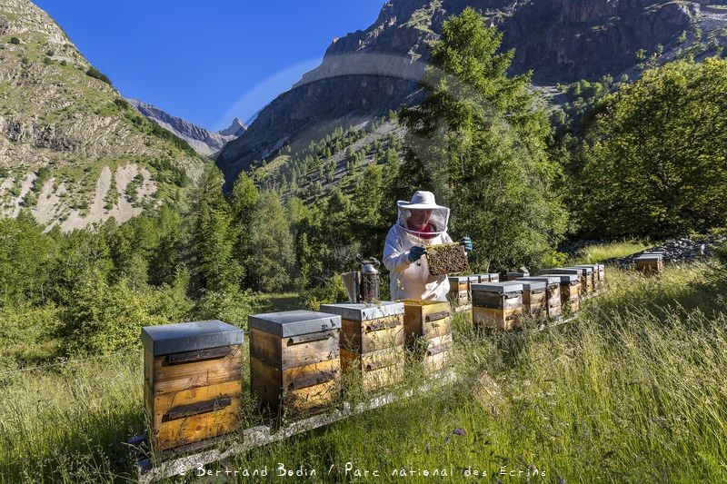 Patrick Challet apiculteur