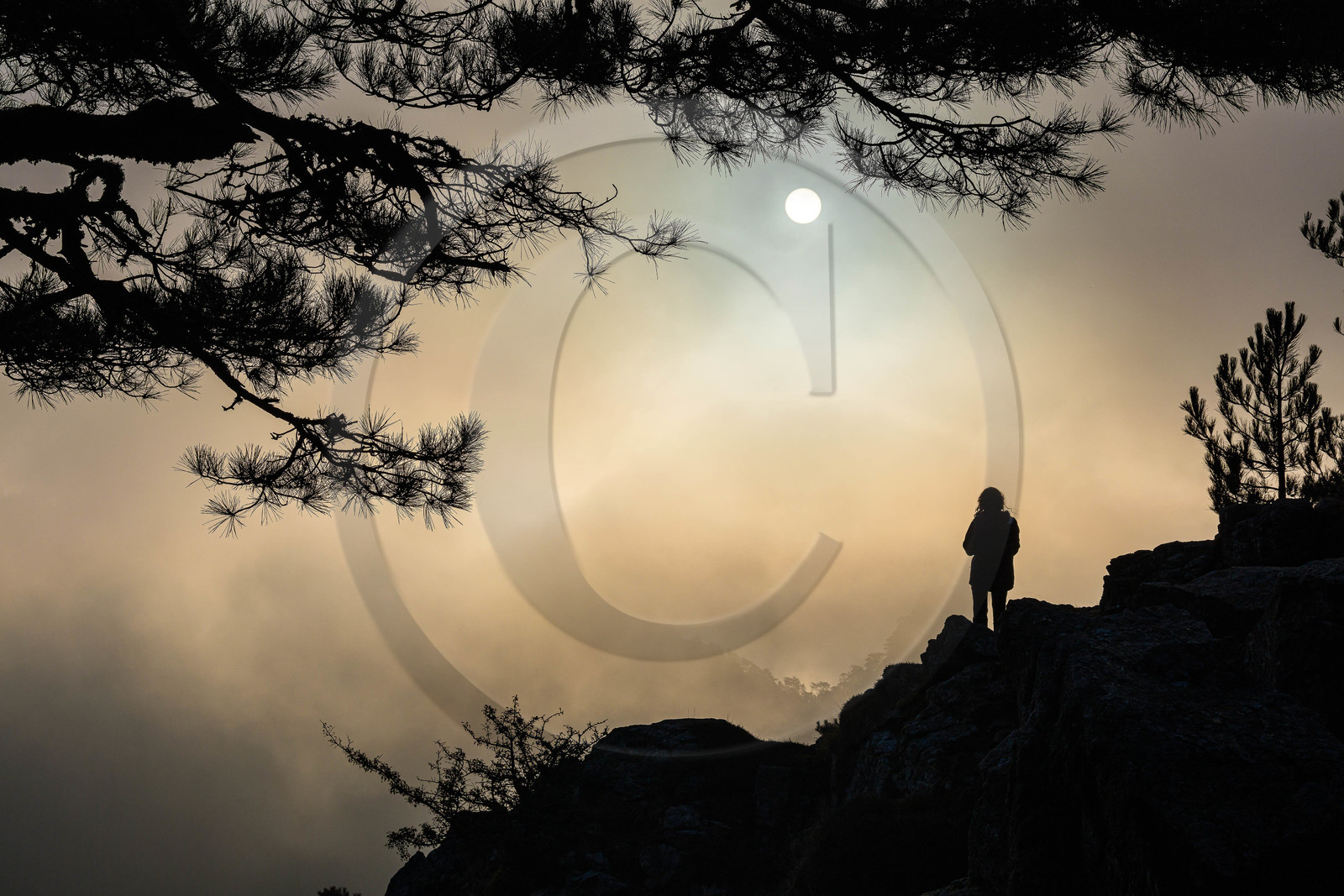 Les Aiguilles de Bavella (forchi di Bavedda )