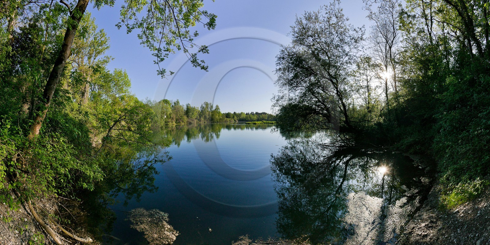 Réserve naturelle du delta de la Dranse, Lac de St Disdille