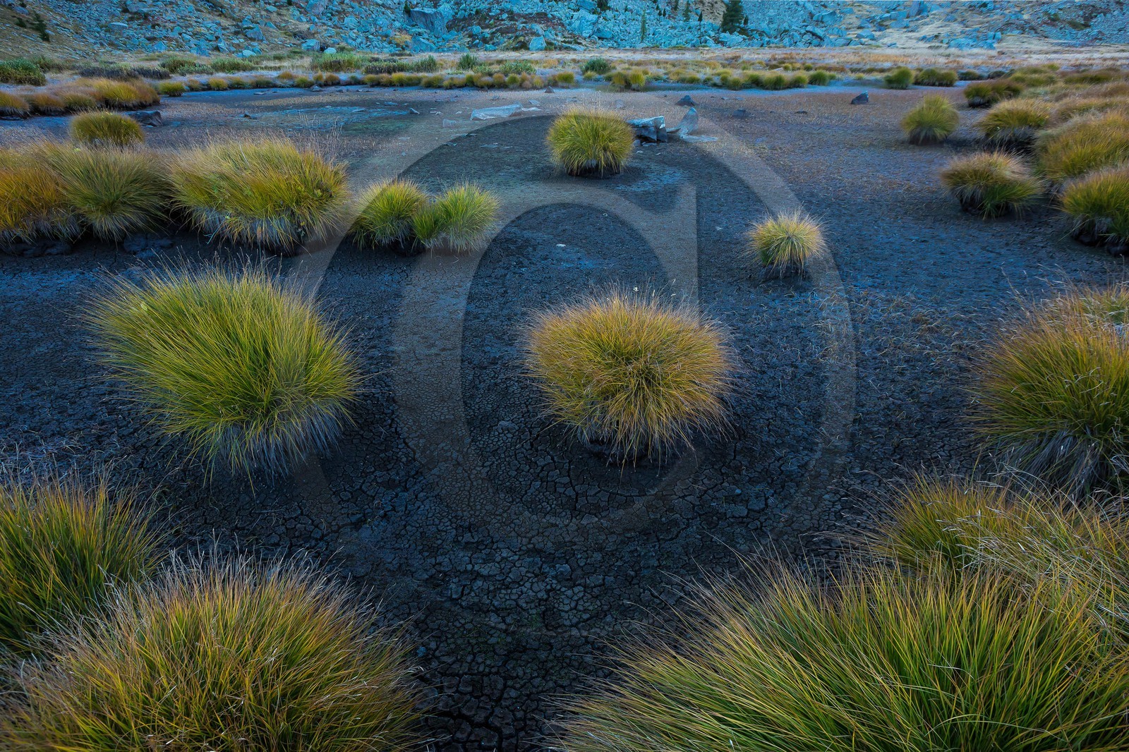 Vallon du Laverq, lac et tourbière Les Eaux-Tortes