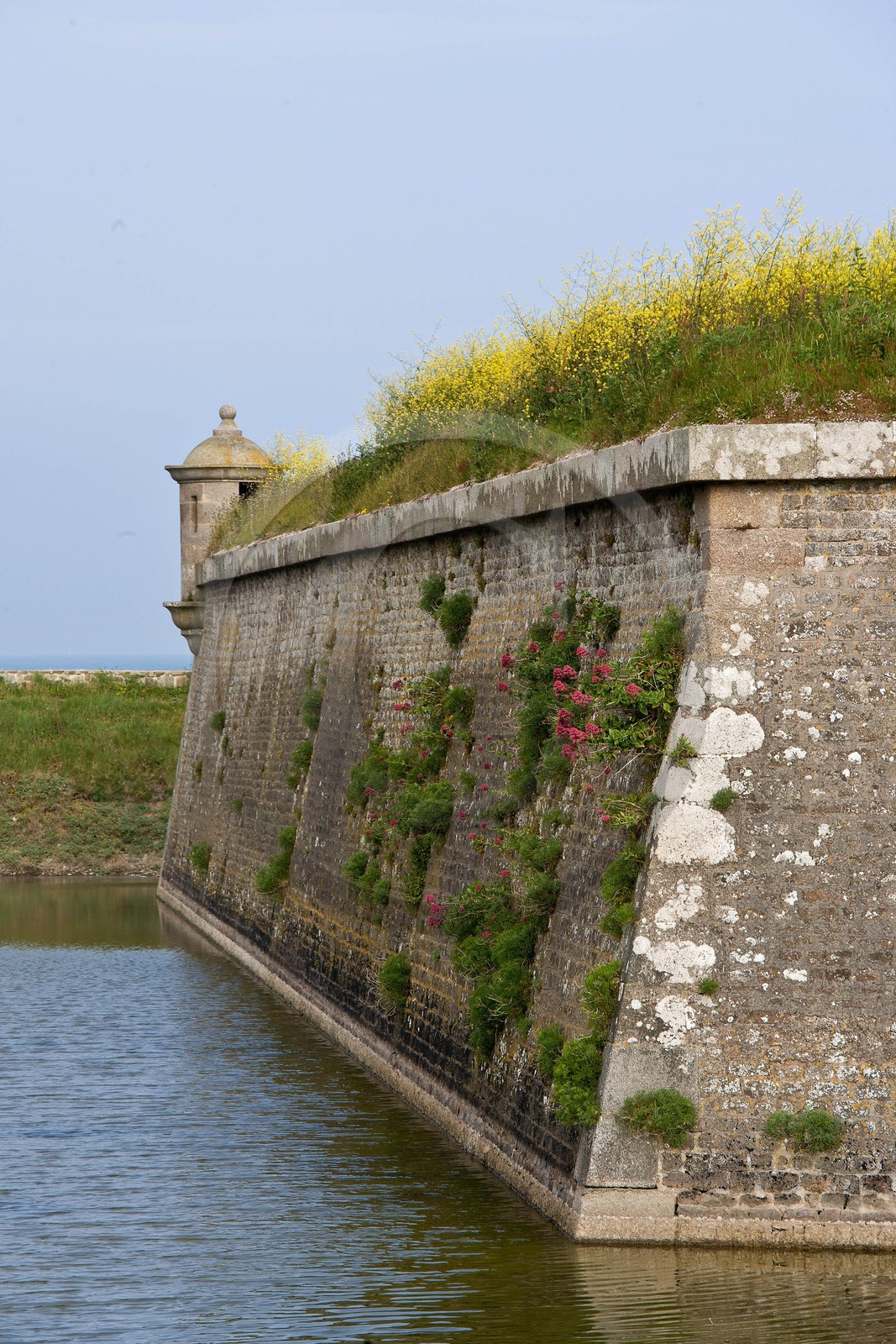 Saint-Vaast-la-Hougue