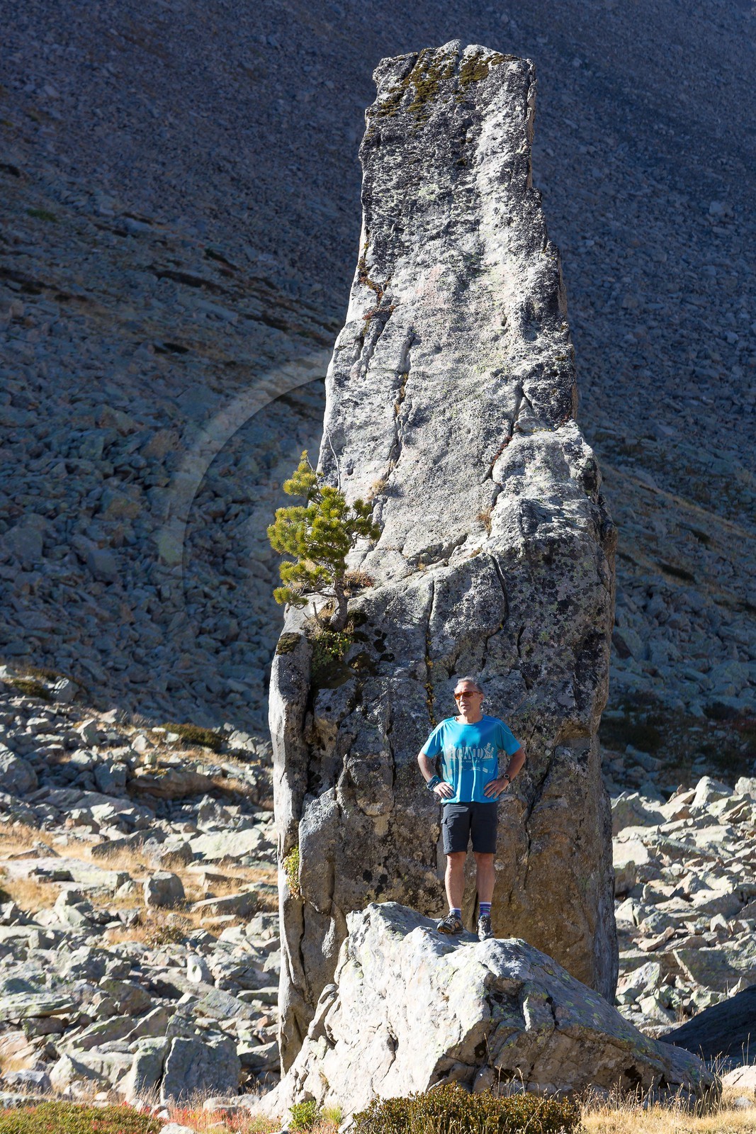 Ubaye, Vallon du Laverq