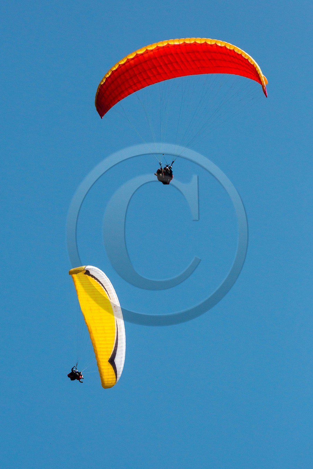 Barcelonnette, Parapente