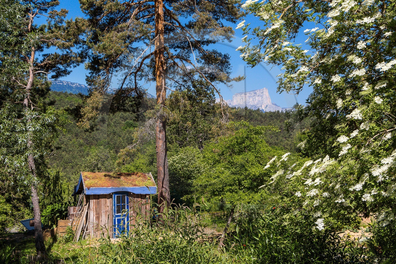 Parc écologique Terre Vivante, stage photo macro nature