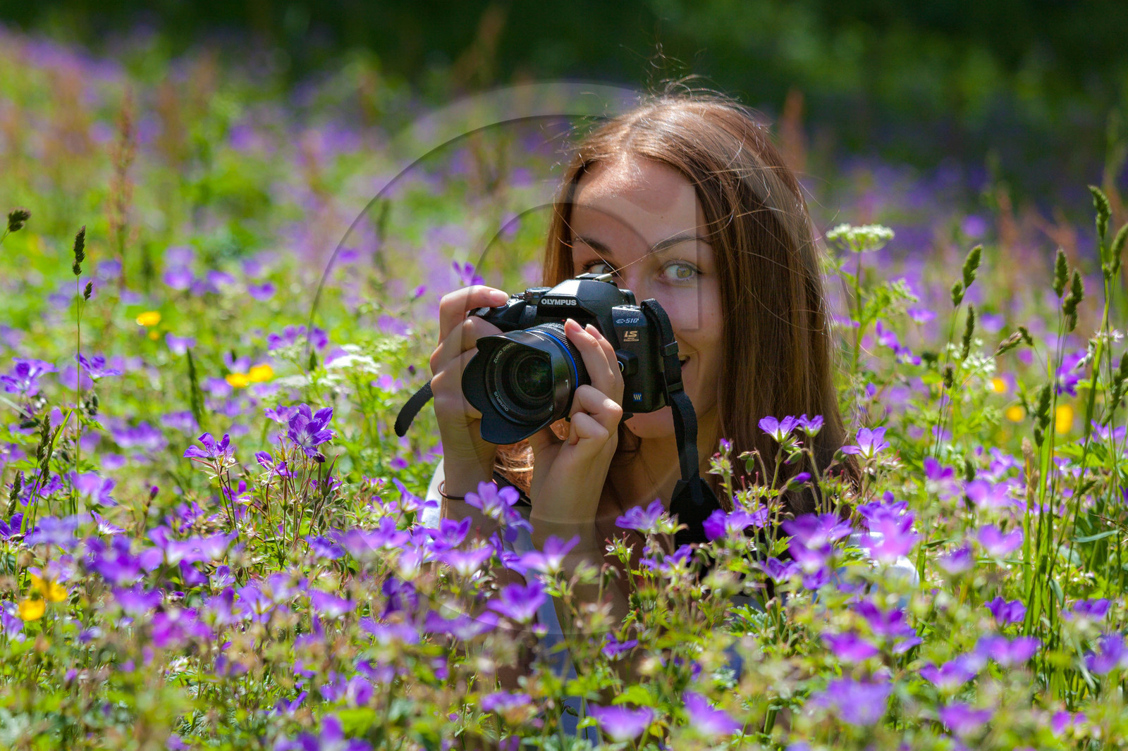 Stage Photo avec Bertrand Bodin, photographe professionnel