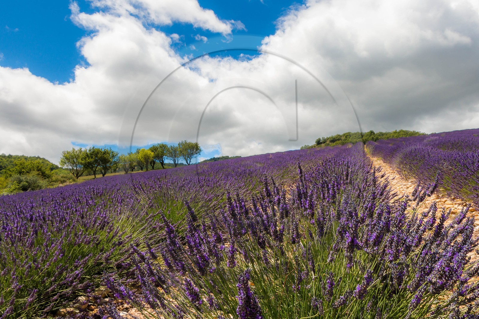 vallée des Duyes, Thoard