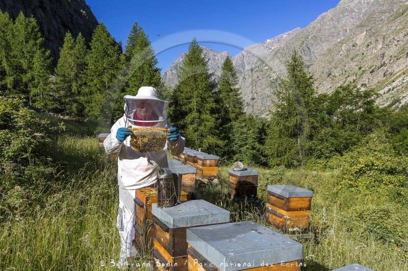 Patrick Challet apiculteur