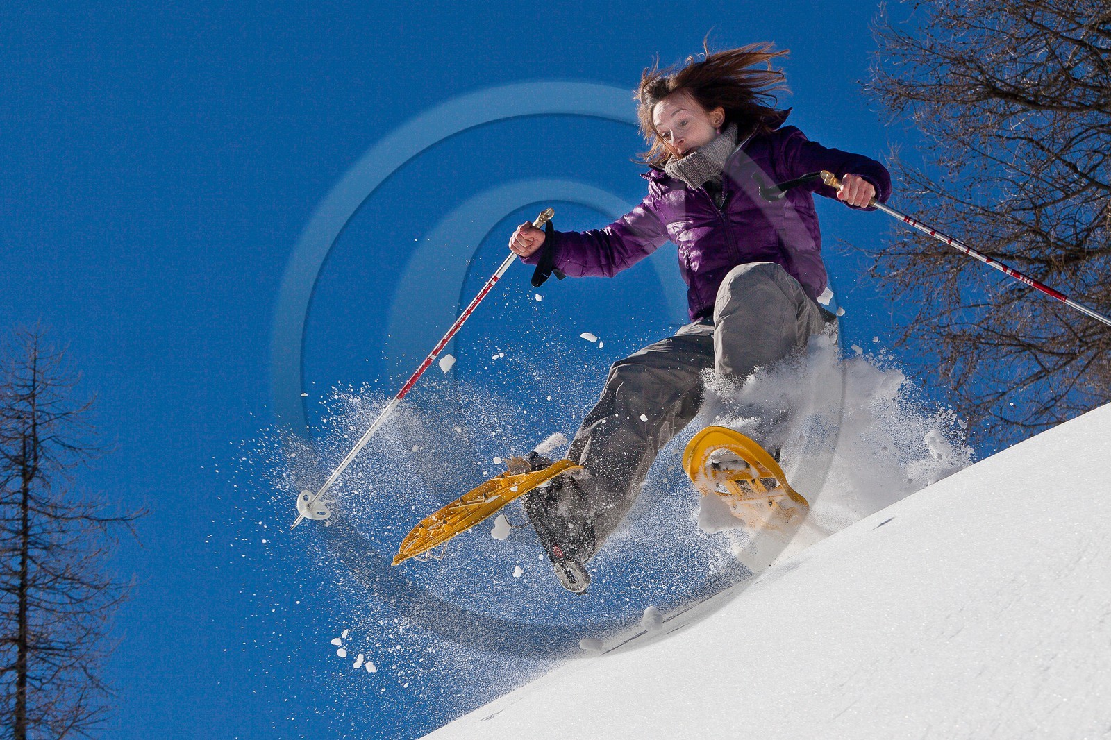 Randonnée raquettes