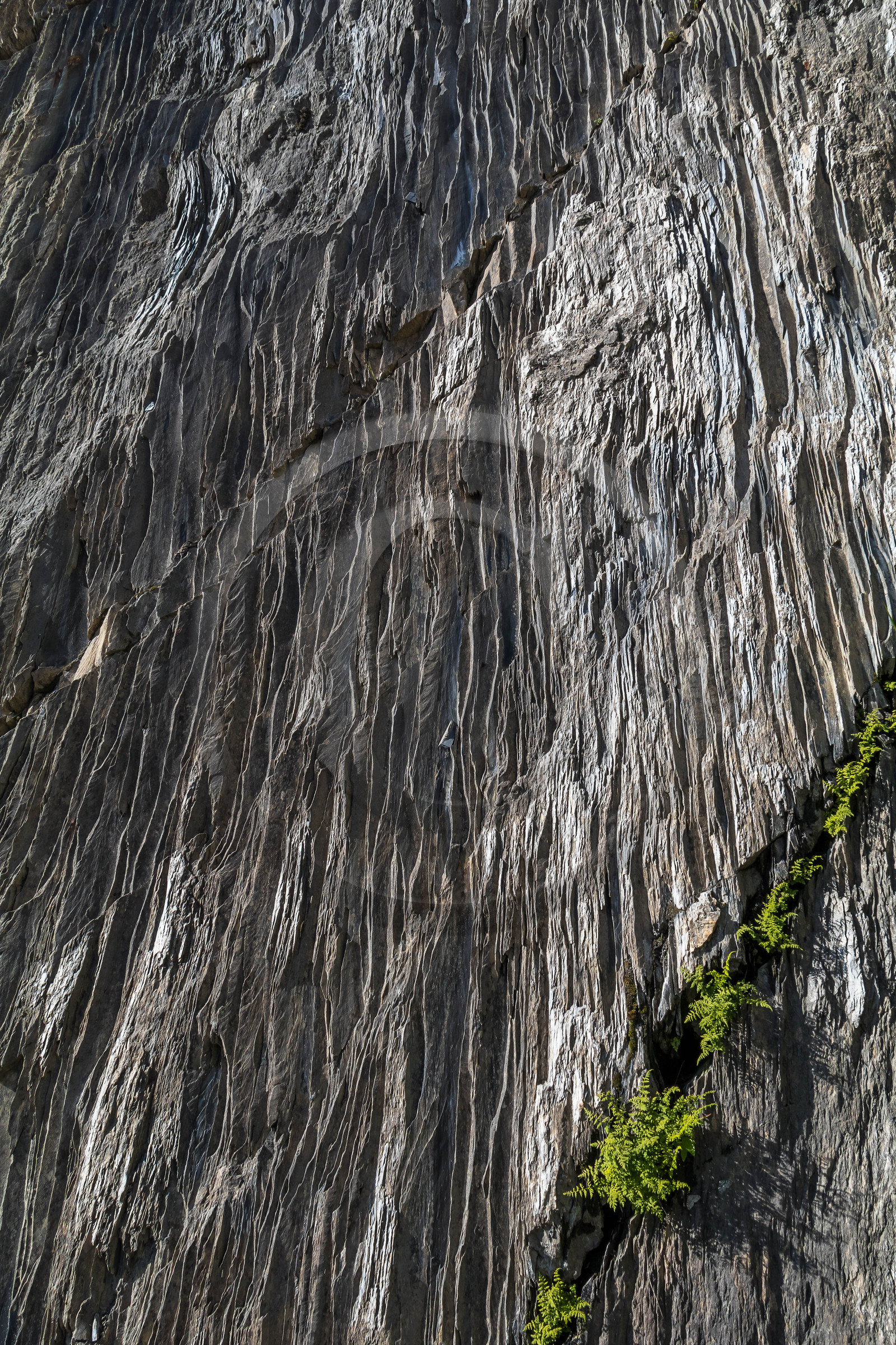 Lauzières du Col de la Madeleine