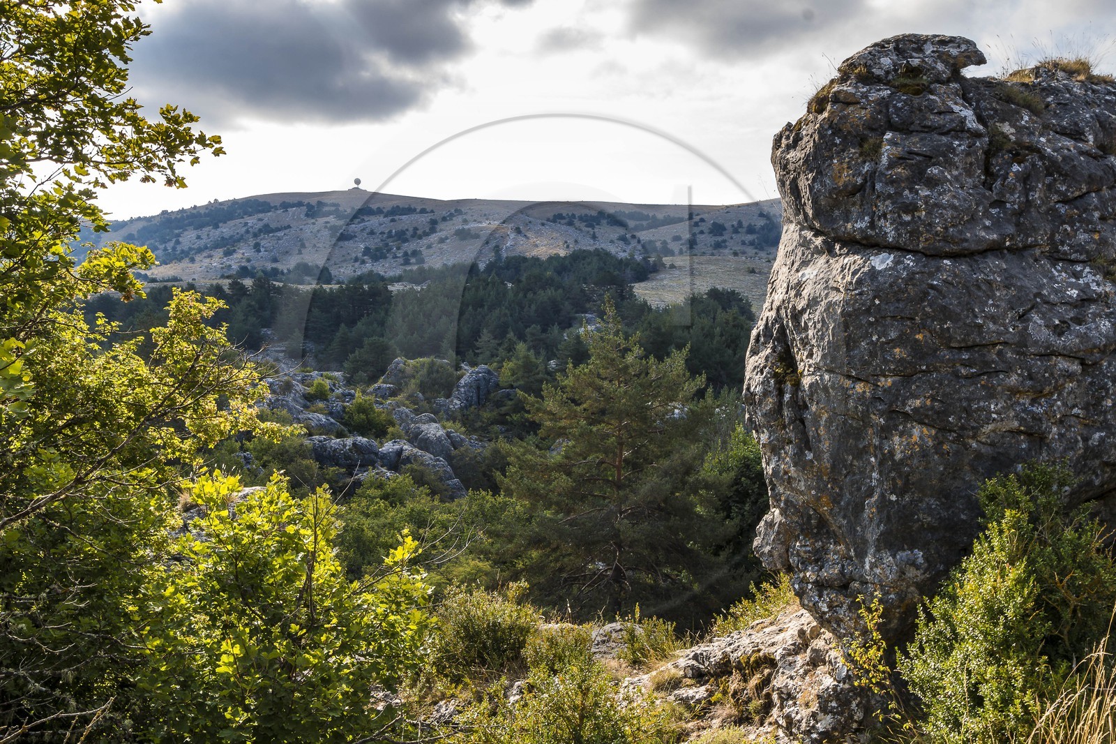 Caussols,  plateau de Caussols