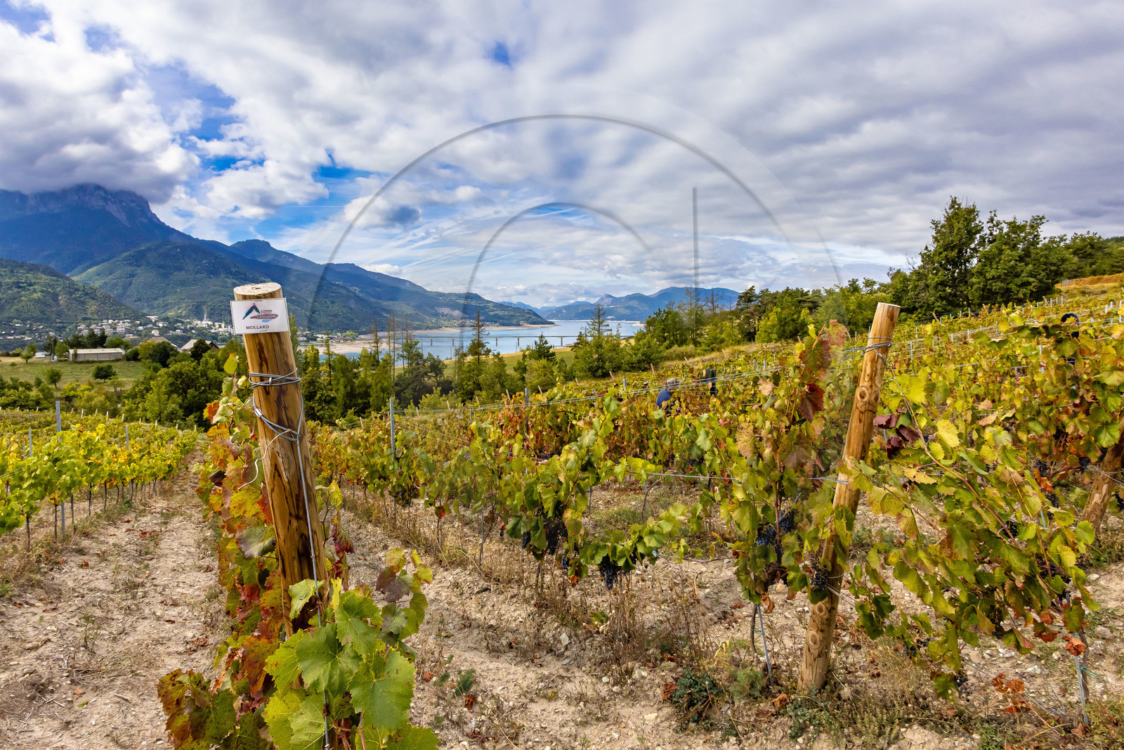 Domaine du Mont Guillaume