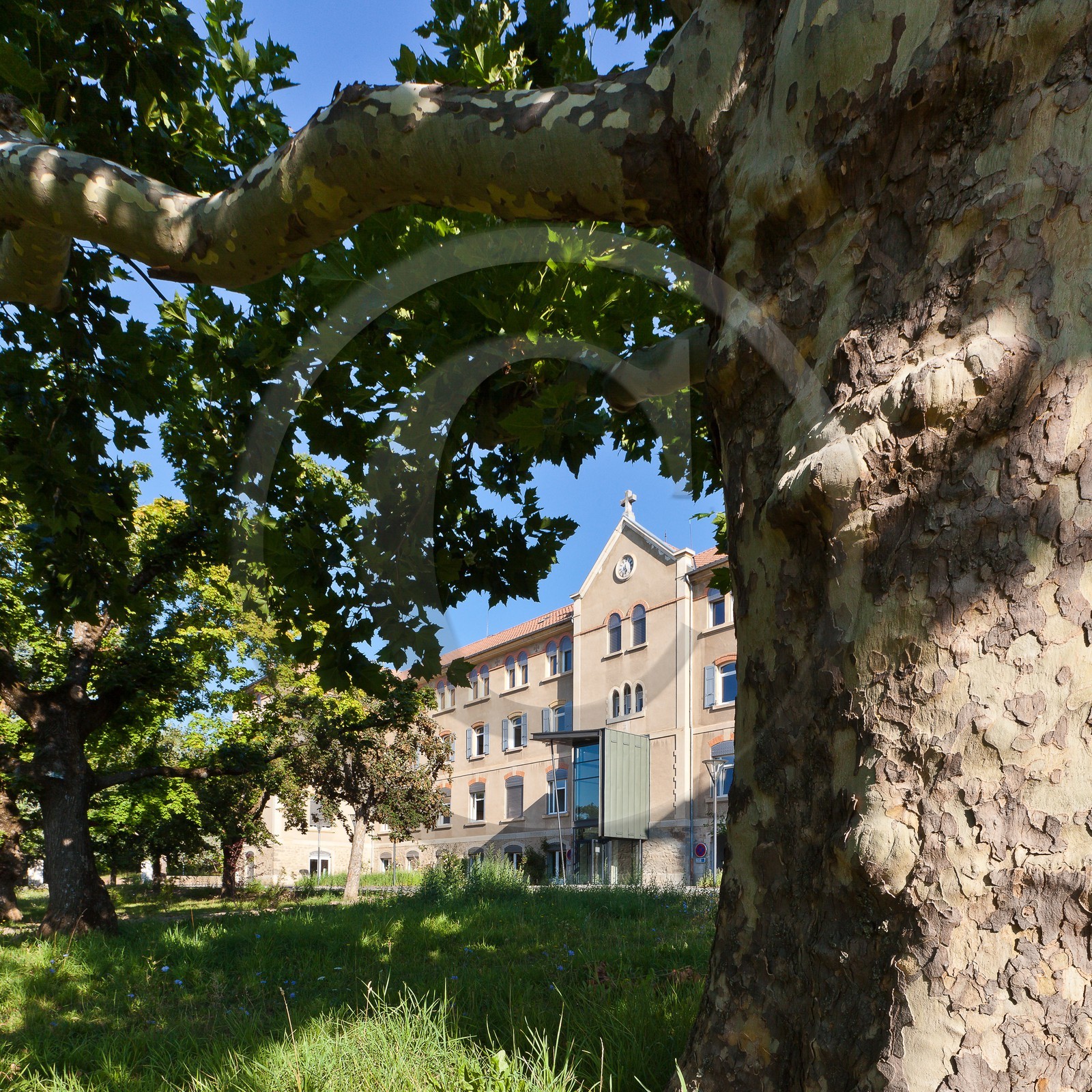 Site de Saint-Louis du Conseil Général