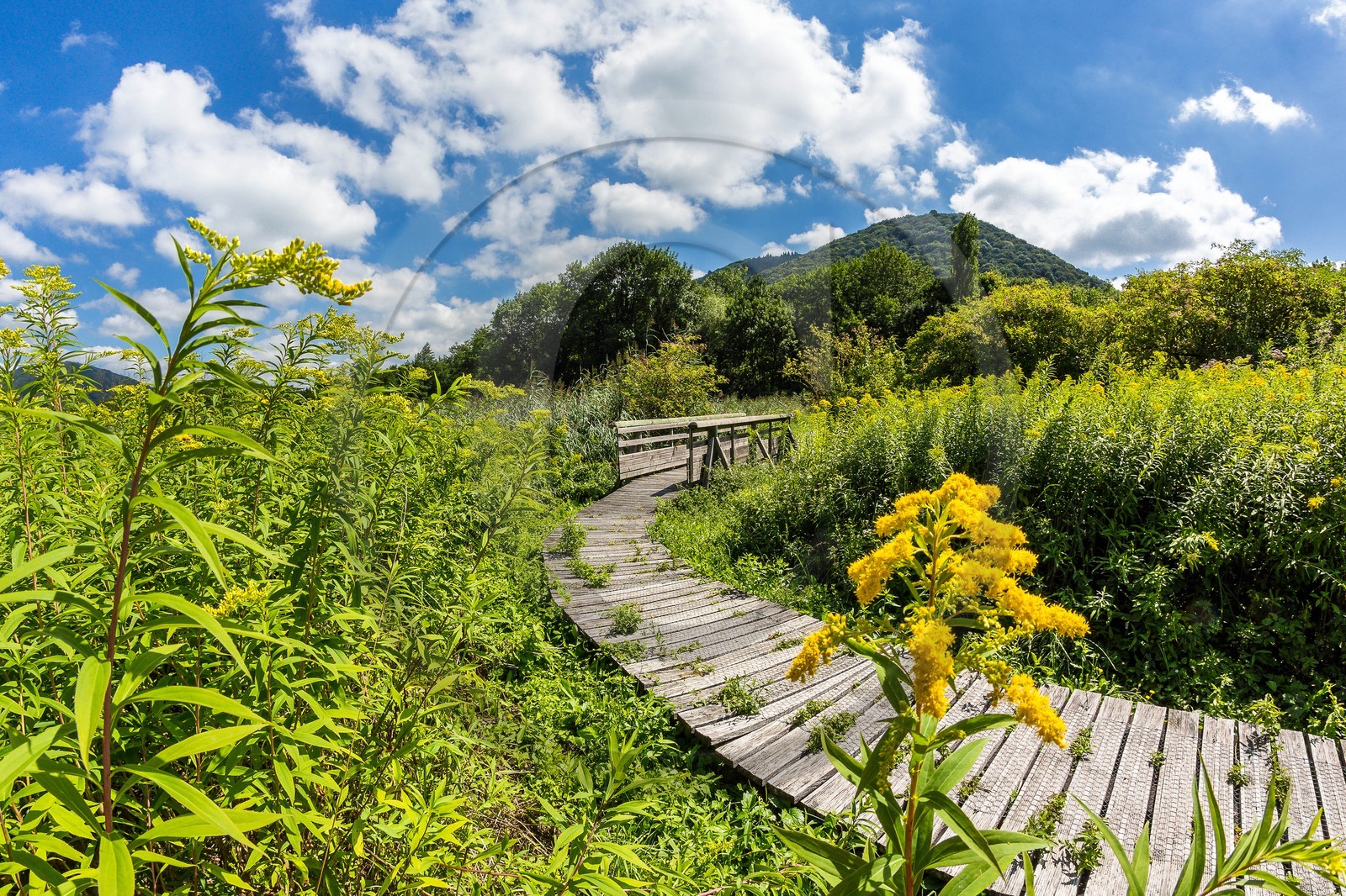 ENS de l'Isère, Marais de Chirens