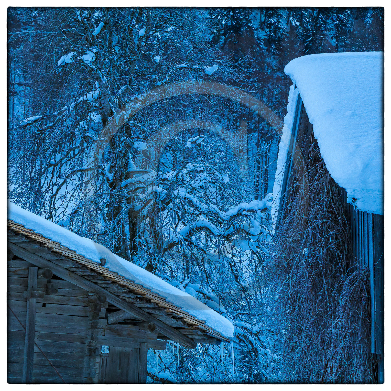 Le Grand Bornand, Les Plans