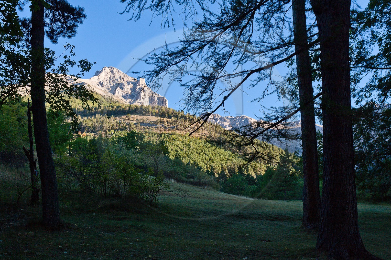 Forêt domaniale des Sauvas