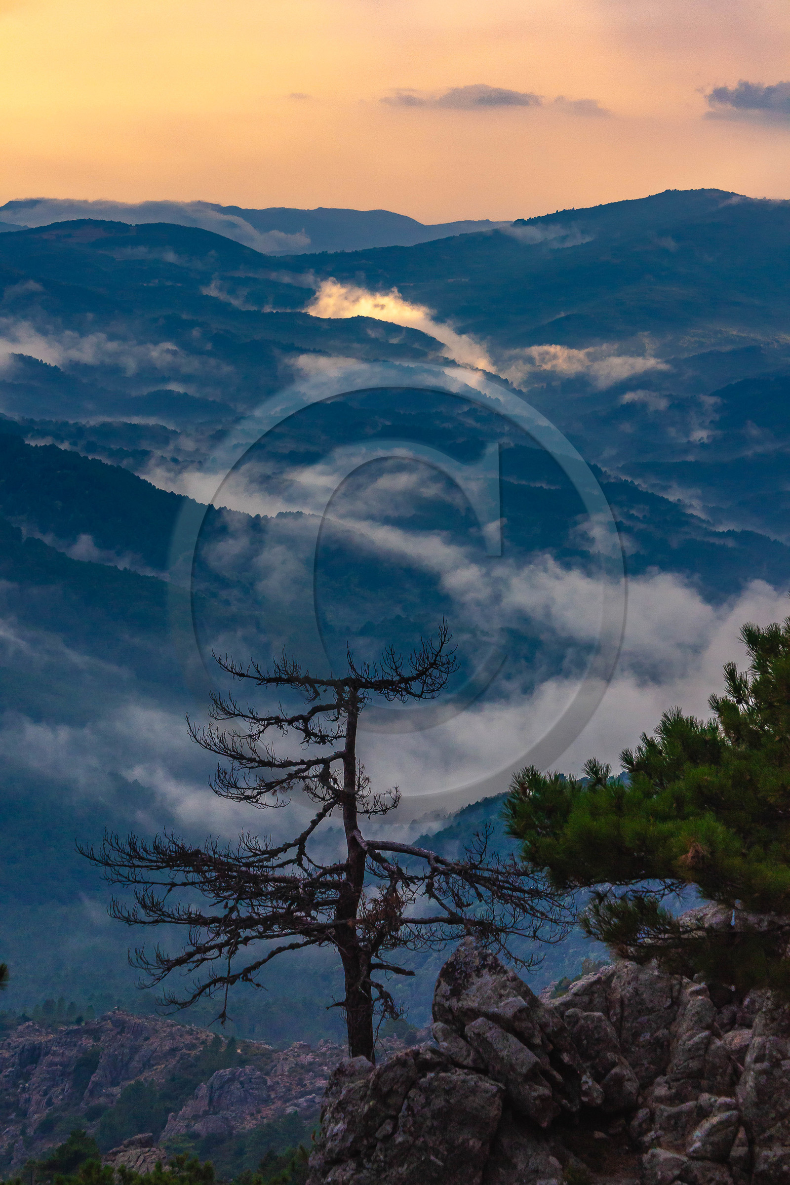 Les Aiguilles de Bavella (forchi di Bavedda )