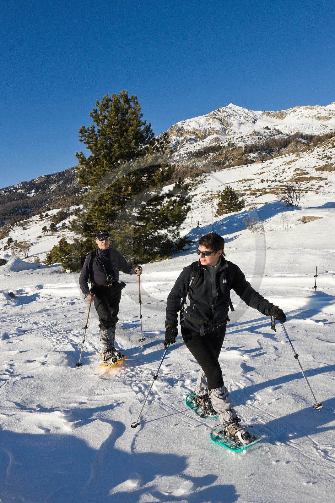 Randonnée raquettes