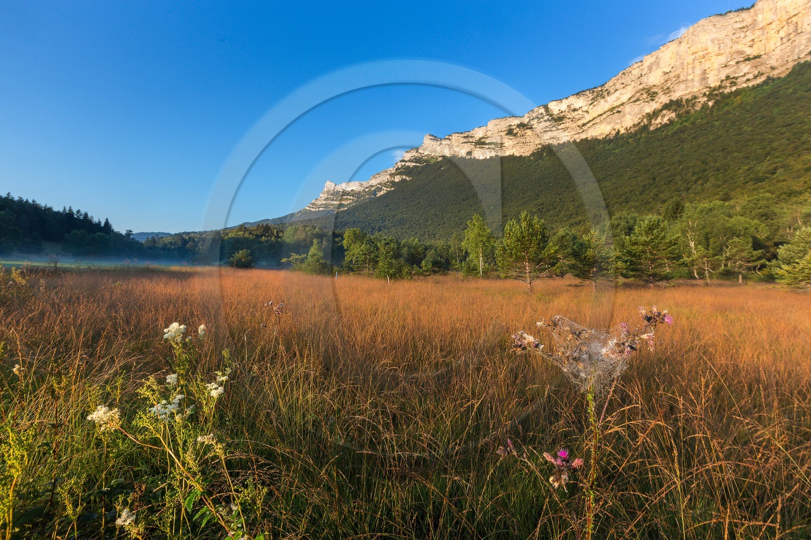 ENS de l'Isère,Tourbières du Peuil