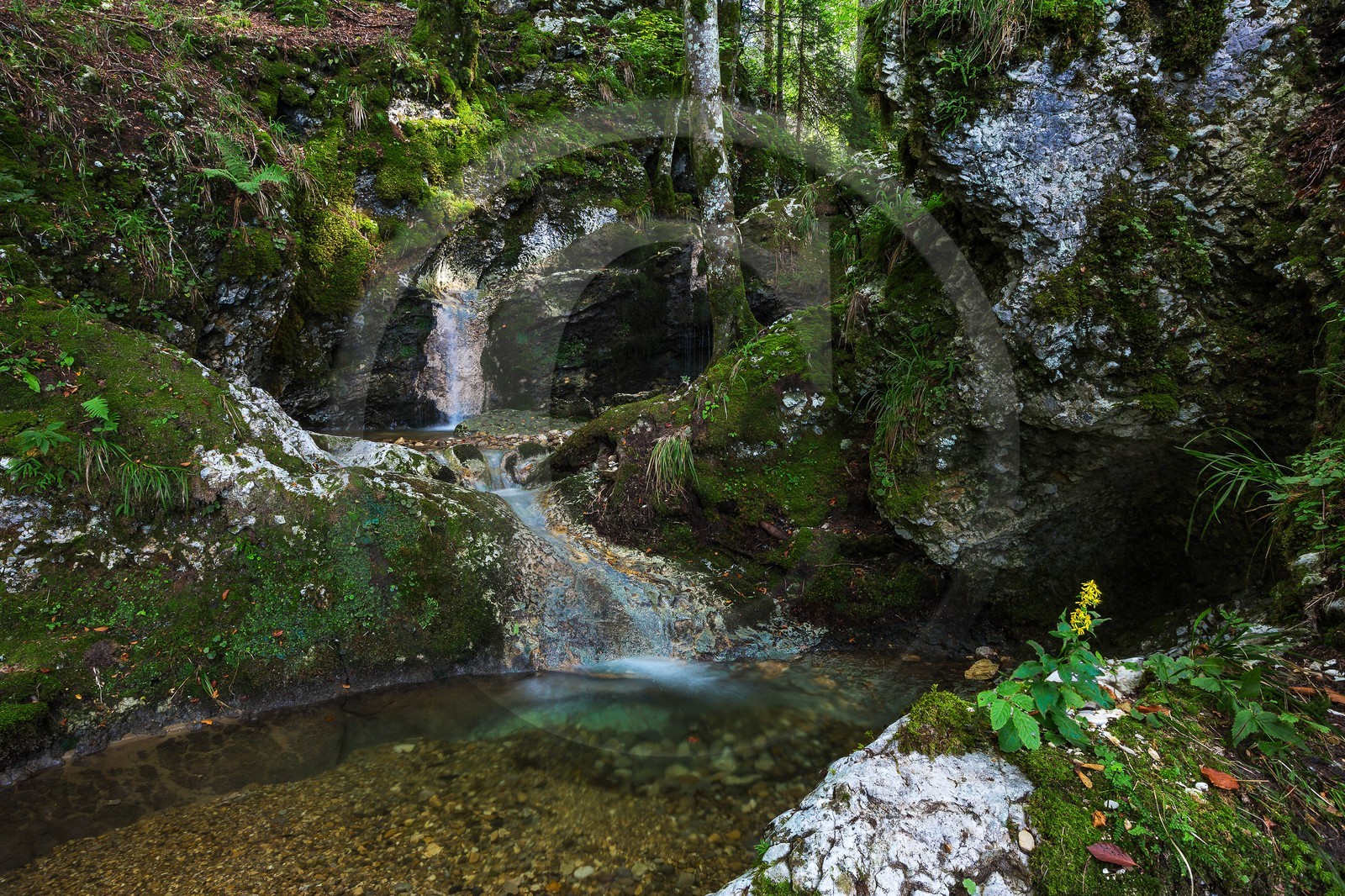 ENS de l'Isère, Les Ecouges