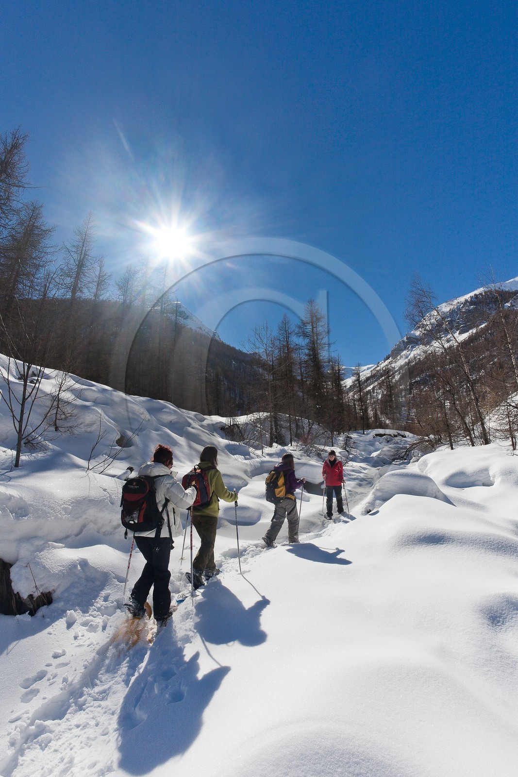 Randonnée raquettes