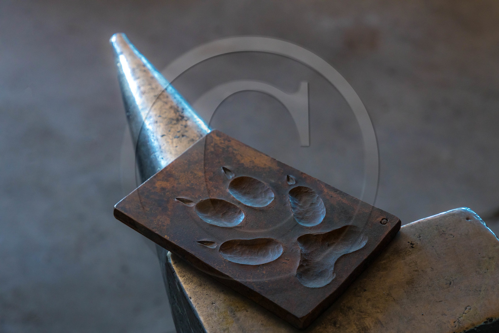 Toutomarto, trace de loup