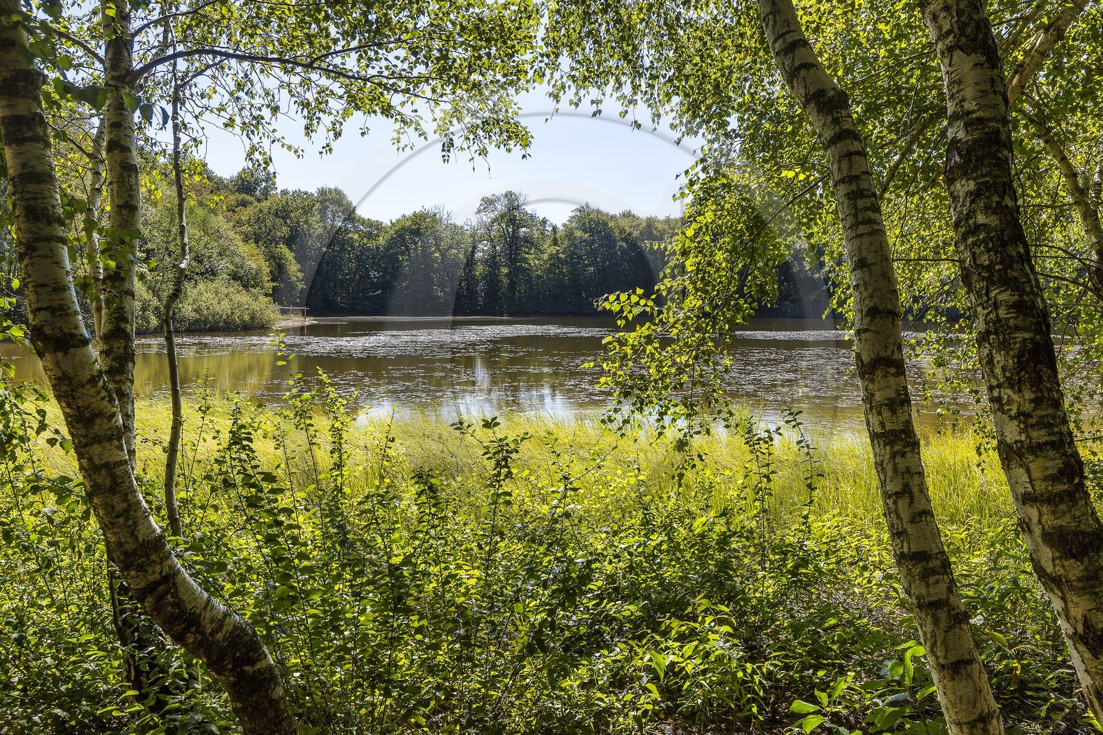 ENS de l'Isère, Etang des Béroudières